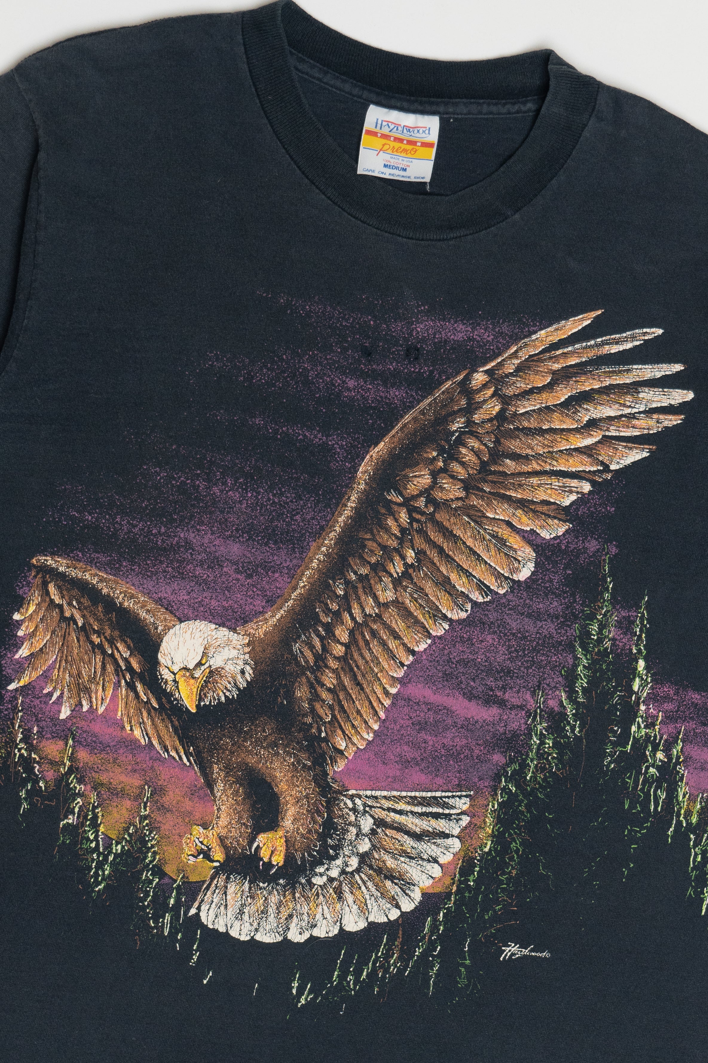 Vintage Eagle Wraparound Print Single Stitch T-Shirt (1990s)