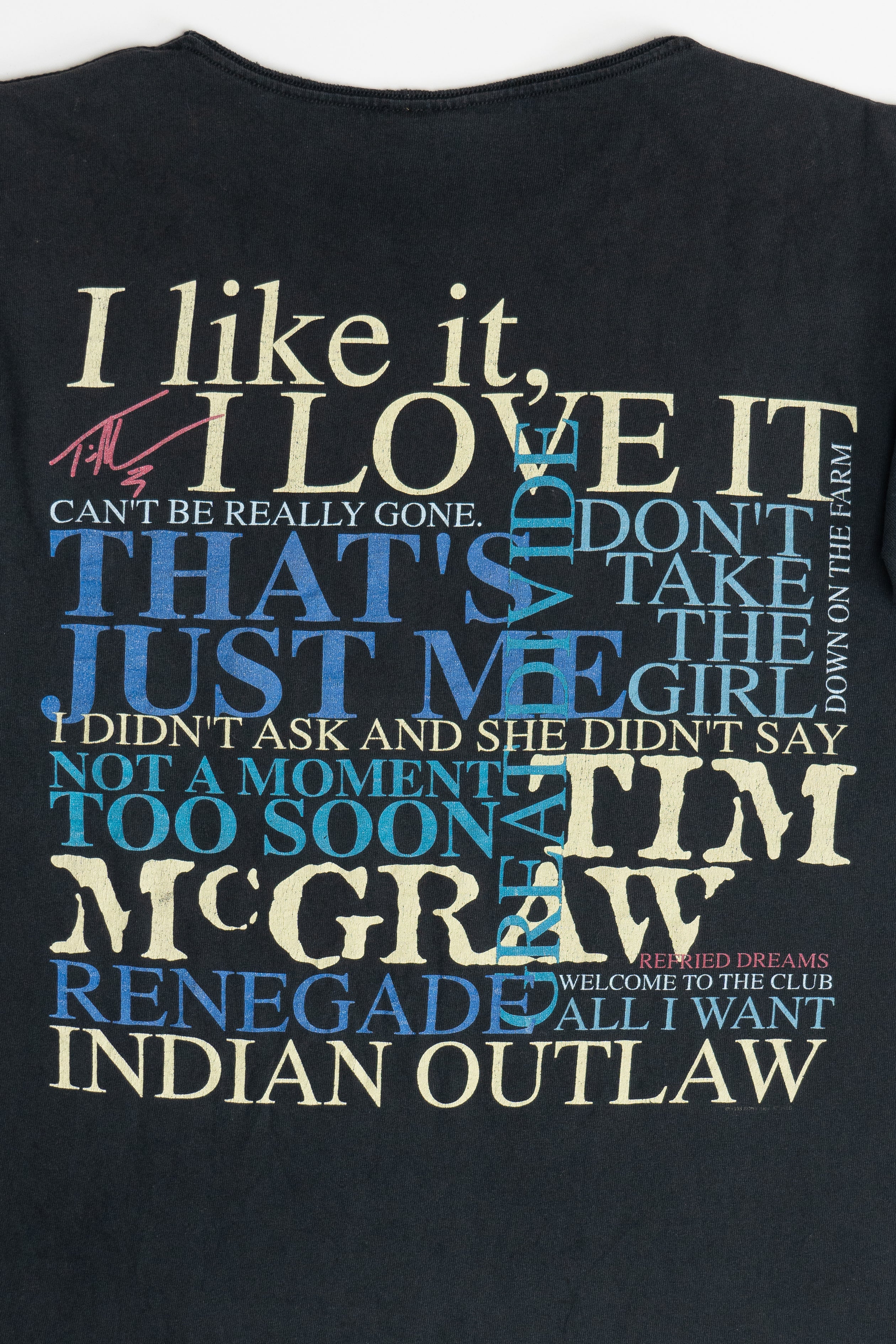 Vintage Distressed Tim McGraw 1995 All I Want Tour T-Shirt (1990s)