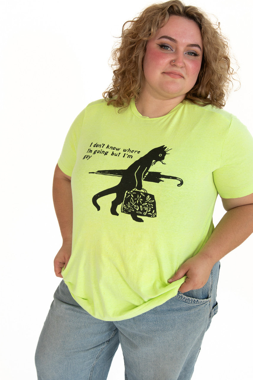 Gay Cat T-Shirt (Assorted Colors)