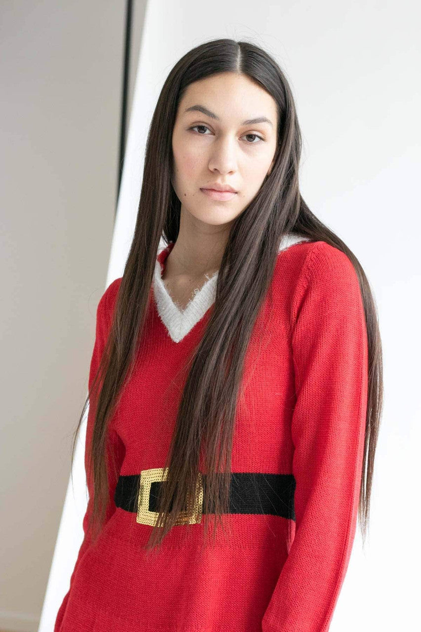 Mrs. Claus Hooded Dress