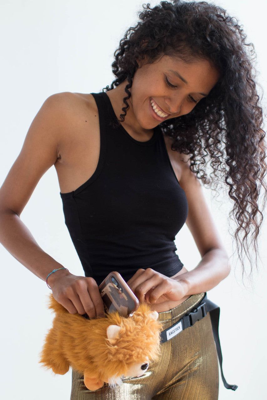 Pomeranian Pupper Pack