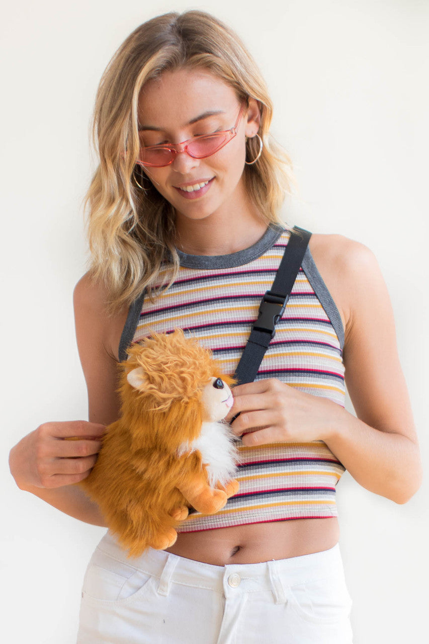 Pomeranian Pupper Pack