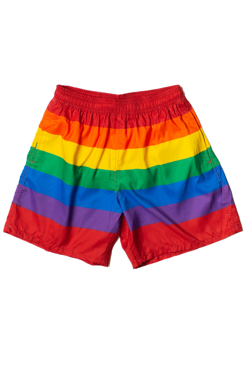Rainbow Striped Swim Shorts