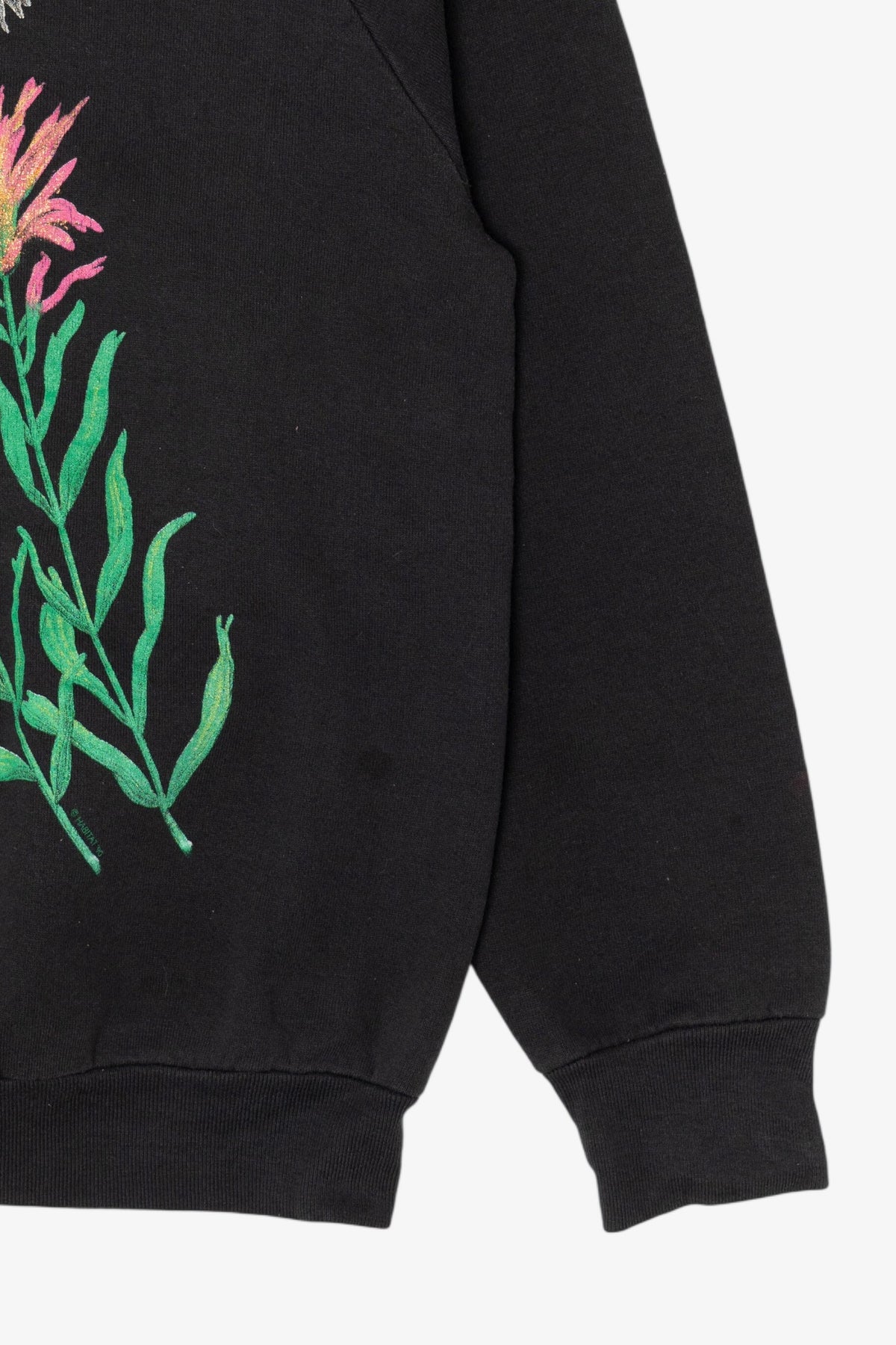 Vintage Colorado Hummingbirds Raglan Sweatshirt (1990s)