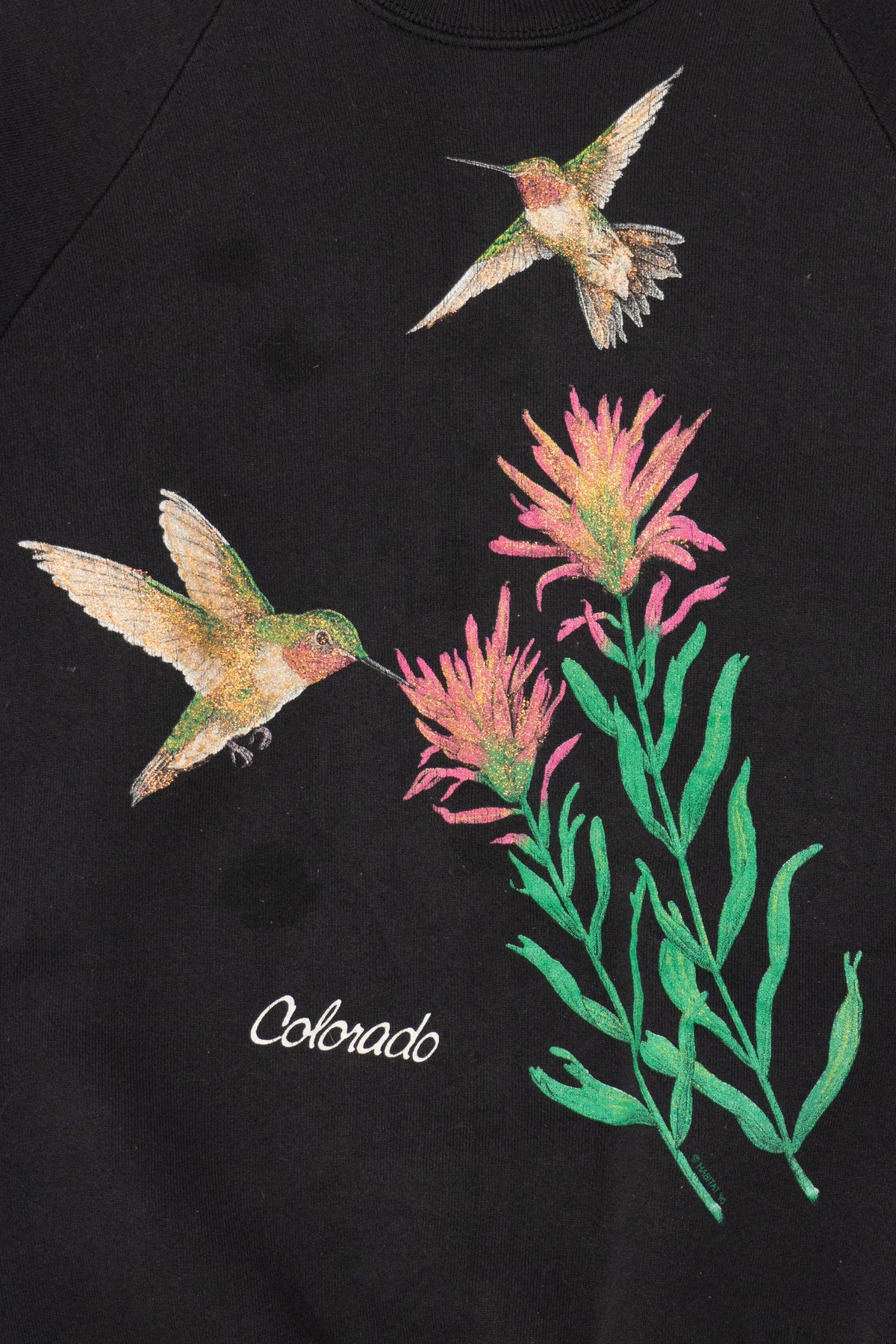 Vintage Colorado Hummingbirds Raglan Sweatshirt (1990s)