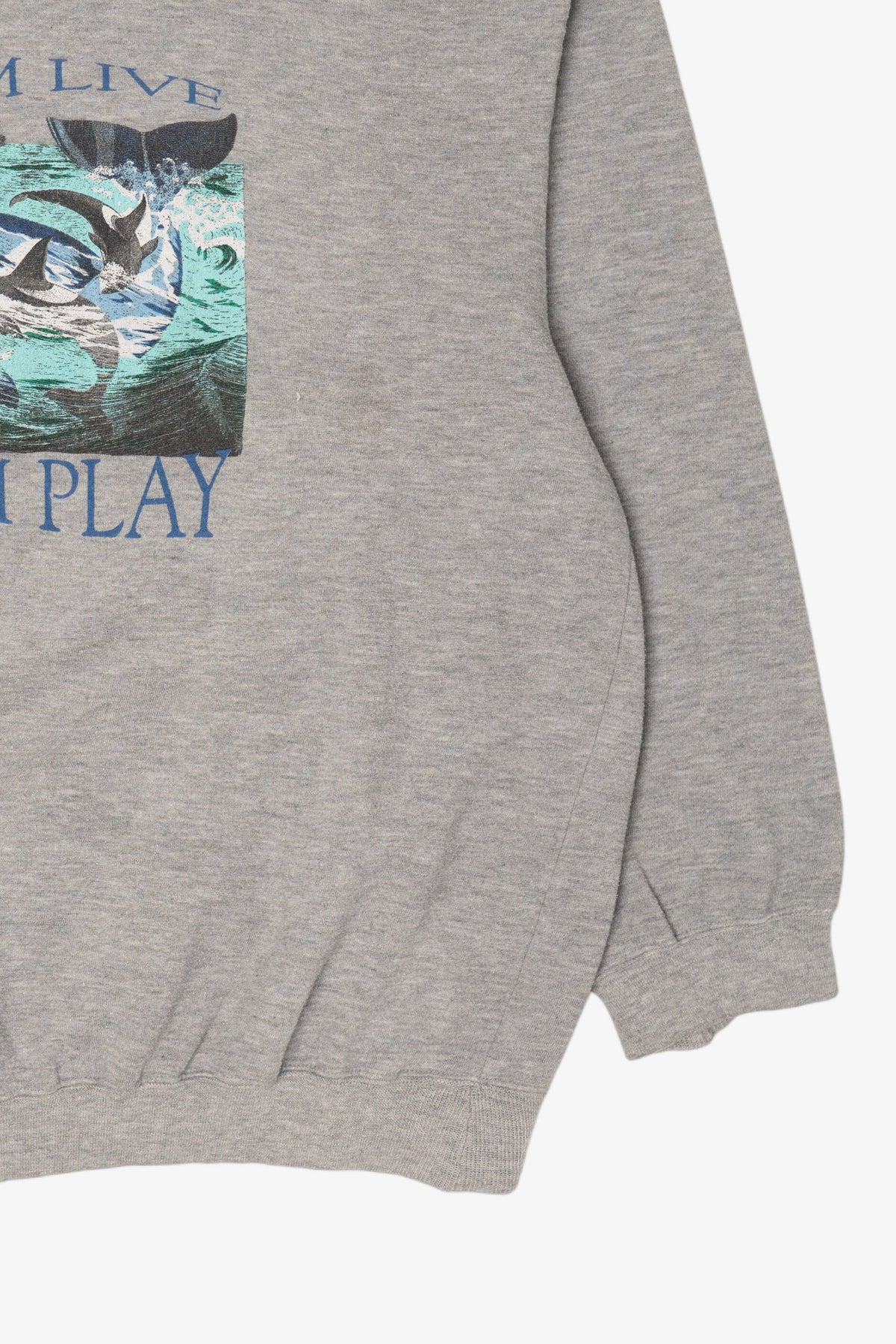 Vintage Gray American Eagle "Let Them Live" Orcas Sweatshirt (1990s)