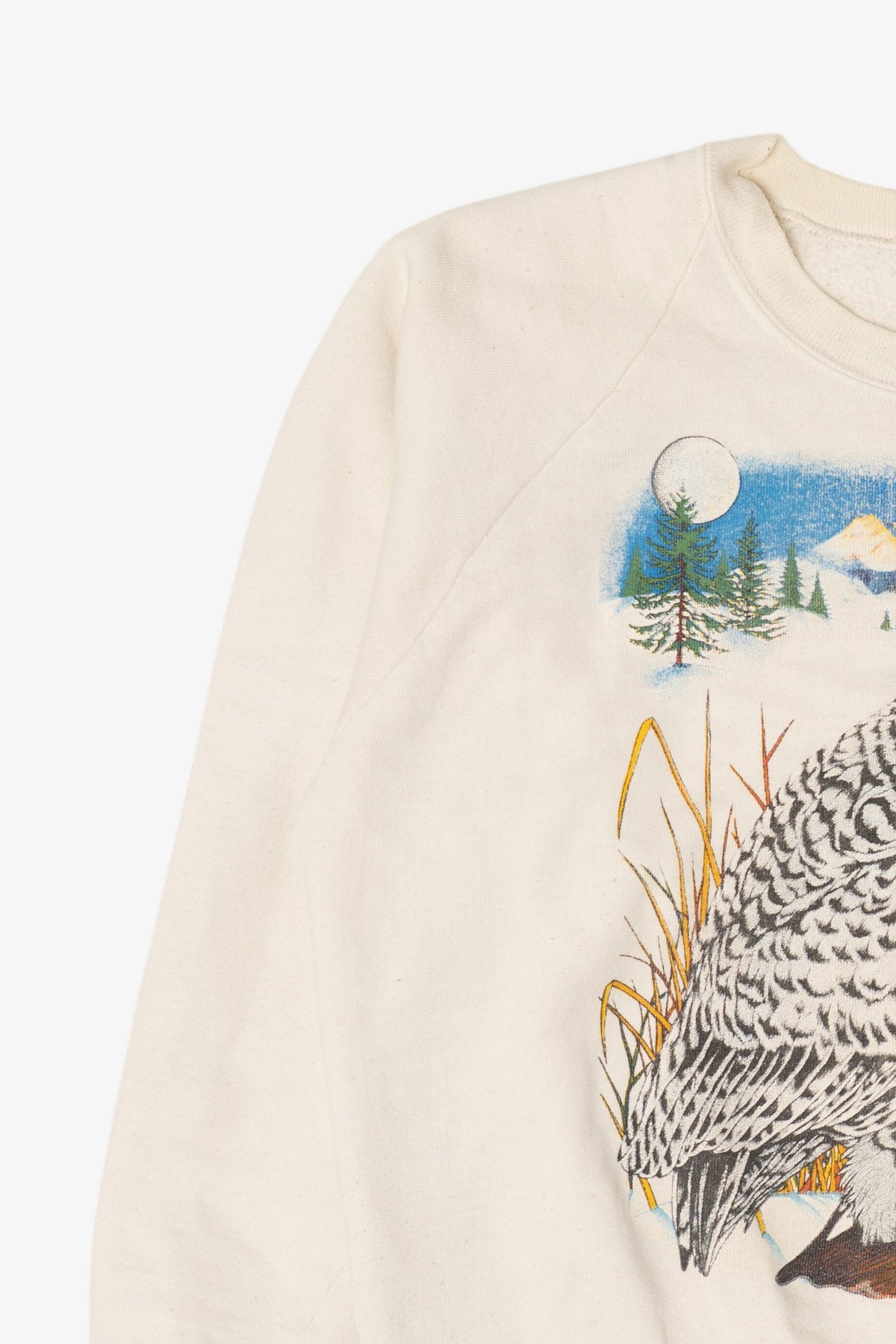 Vintage Snowy Owl Raglan Sweatshirt (1990s)