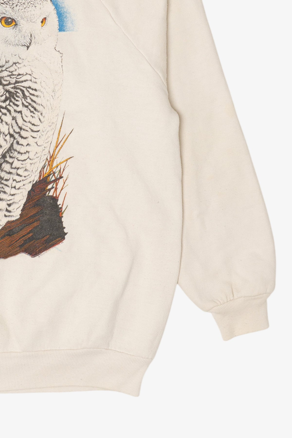 Vintage Snowy Owl Raglan Sweatshirt (1990s)