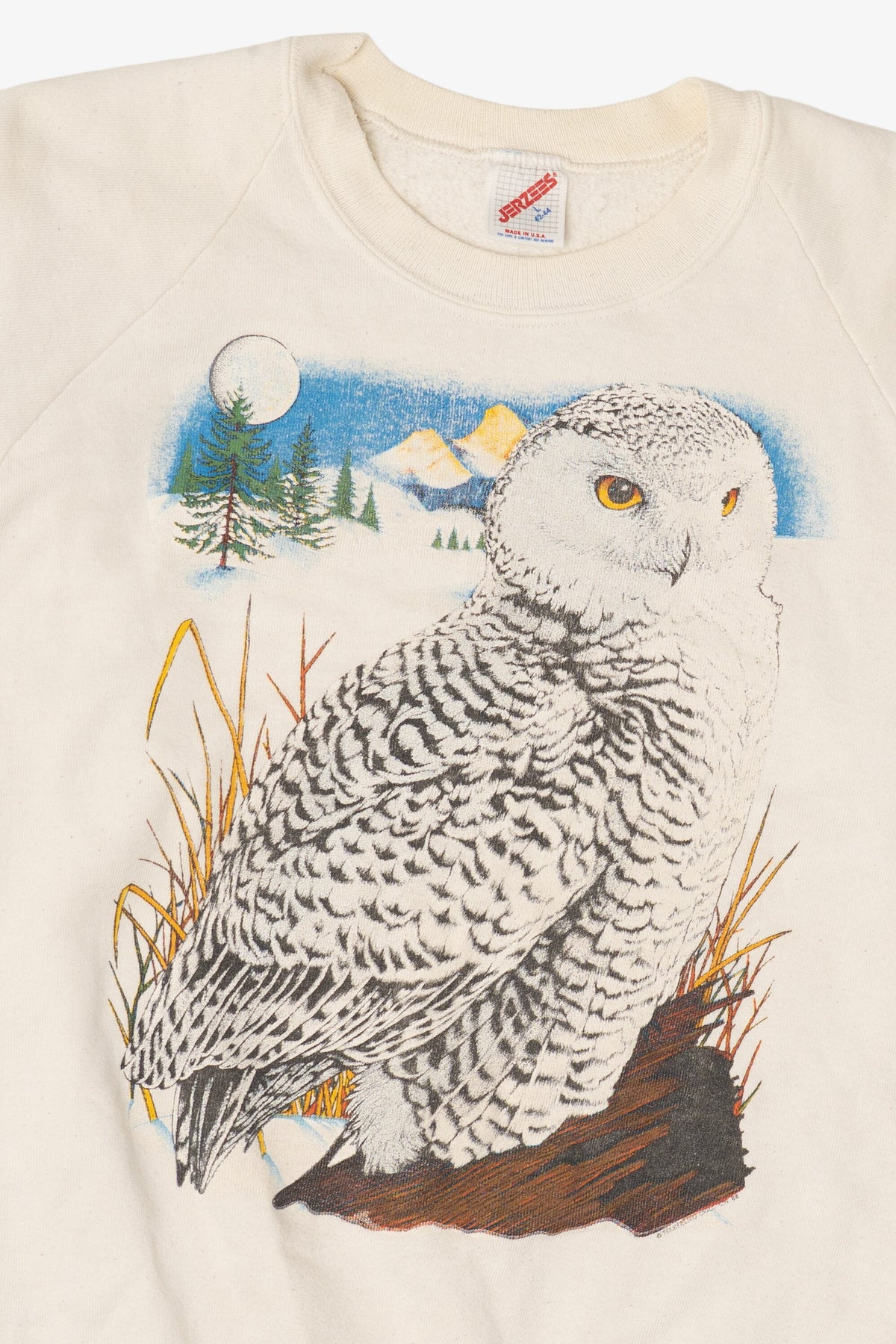 Vintage Snowy Owl Raglan Sweatshirt (1990s)