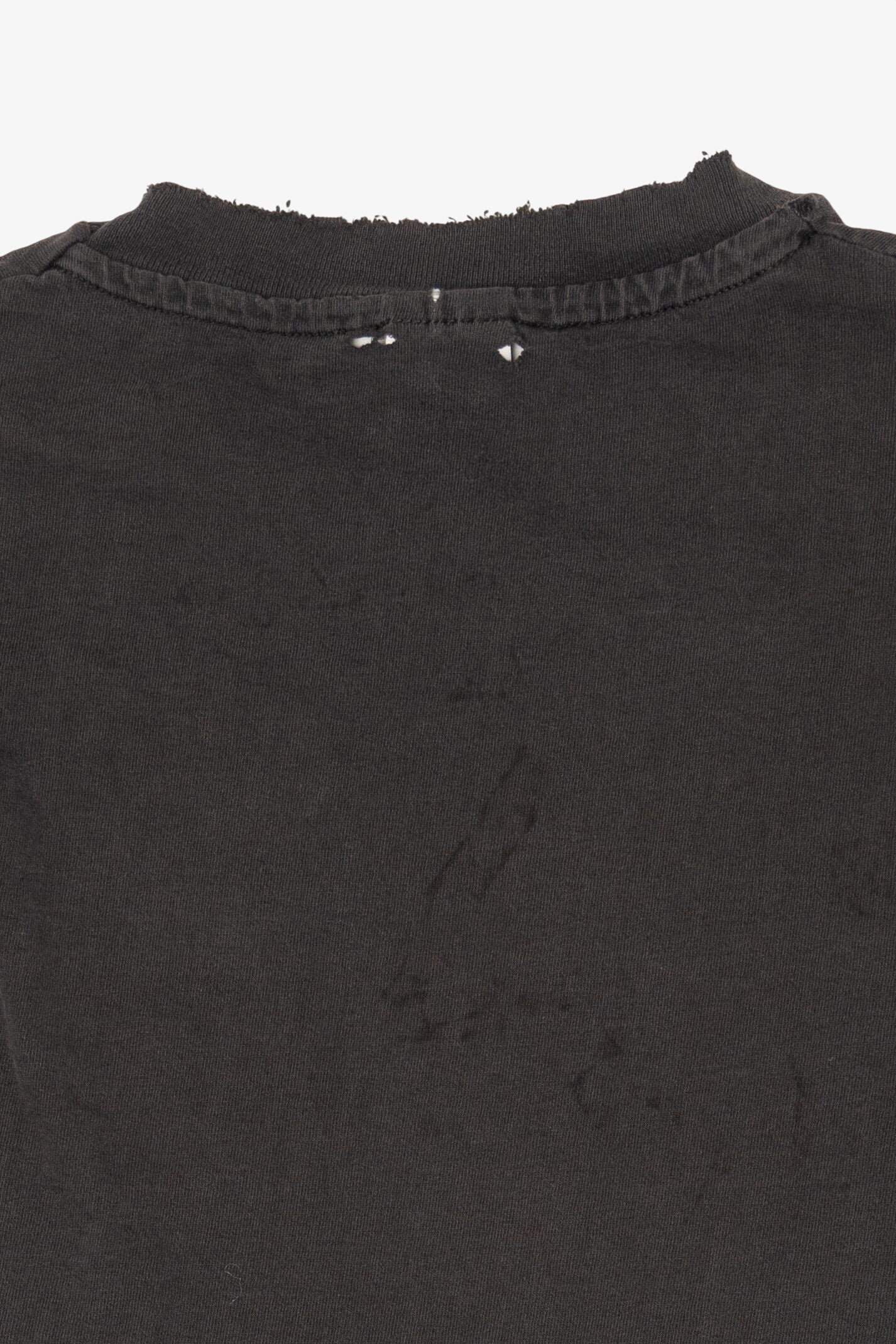 Vintage Distressed Philadelphia Zoo Wolves T-Shirt (1990s)