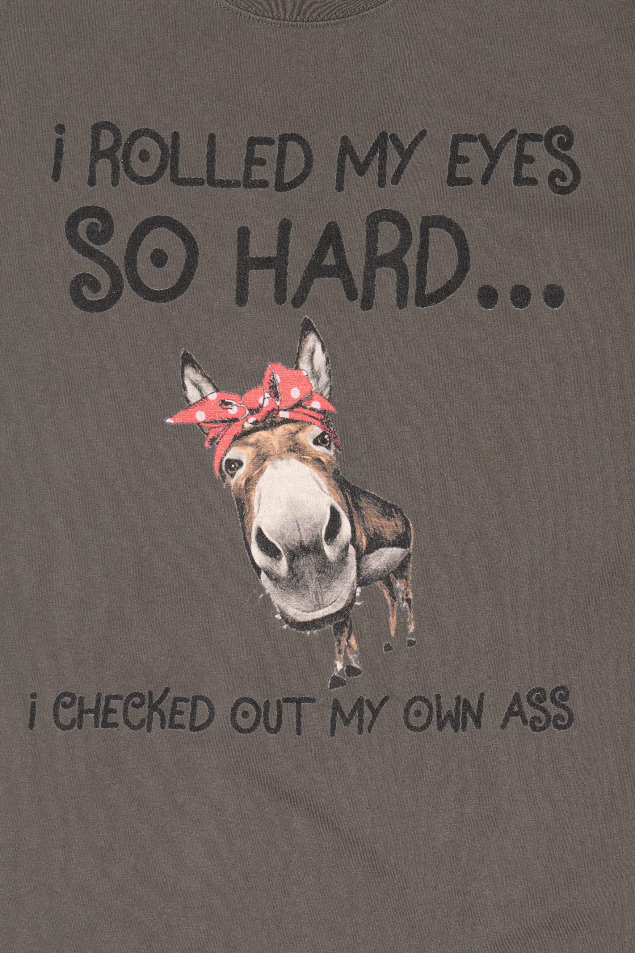 Funny "I Rolled My Eyes So Far..." Donkey T-Shirt