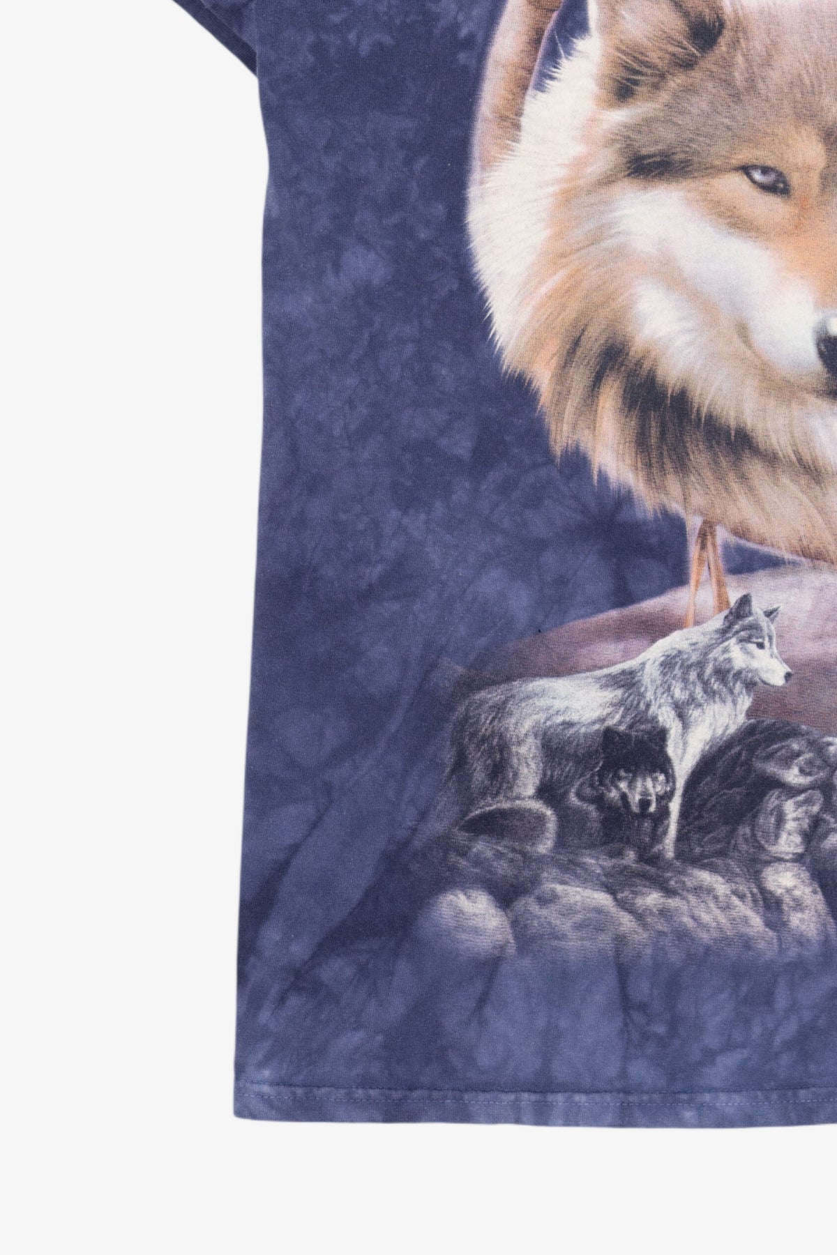 Blue Tie Dye Wolves In Dreamcatcher T-Shirt (2010s)