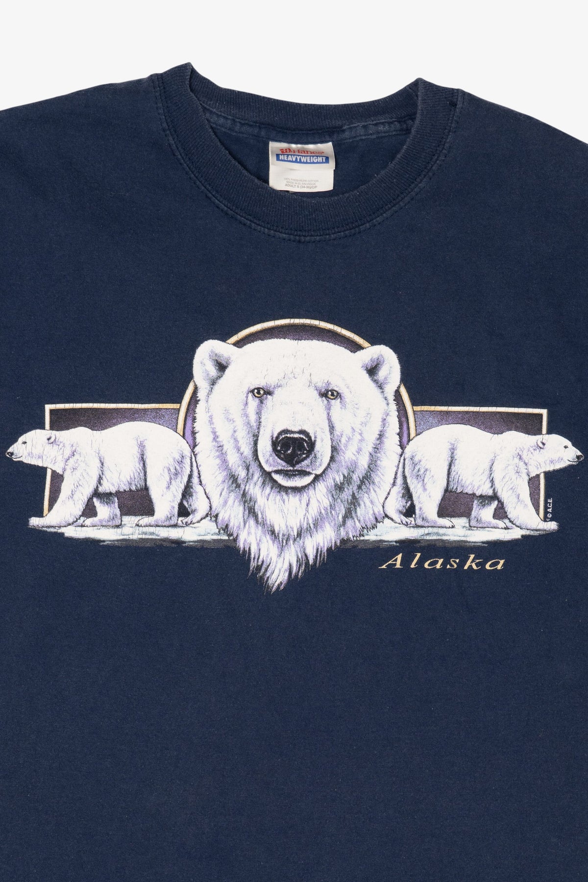Vintage Navy Blue "Alaska" Polar Bears T-Shirt (1990s)