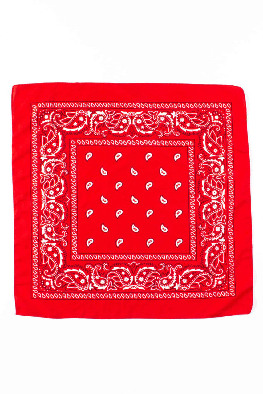 Silky Red Bandana