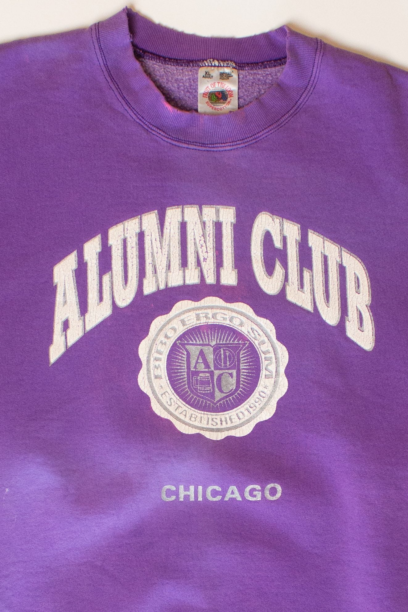 Vintage Faded Chicago Alumni Club Sweatshirt (1990s)