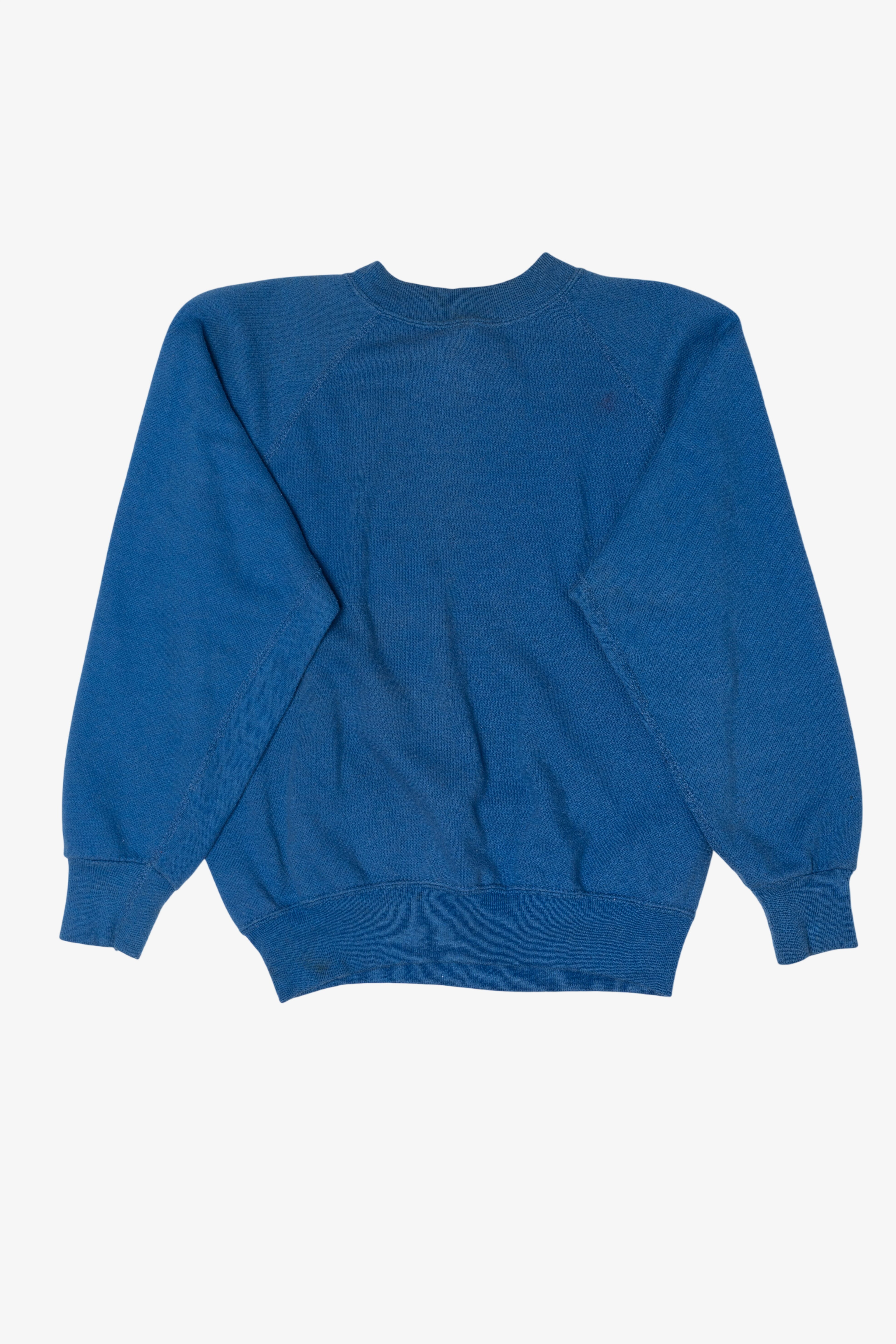 Vintage Blue Baruch College Raglan Sweatshirt (1990s)