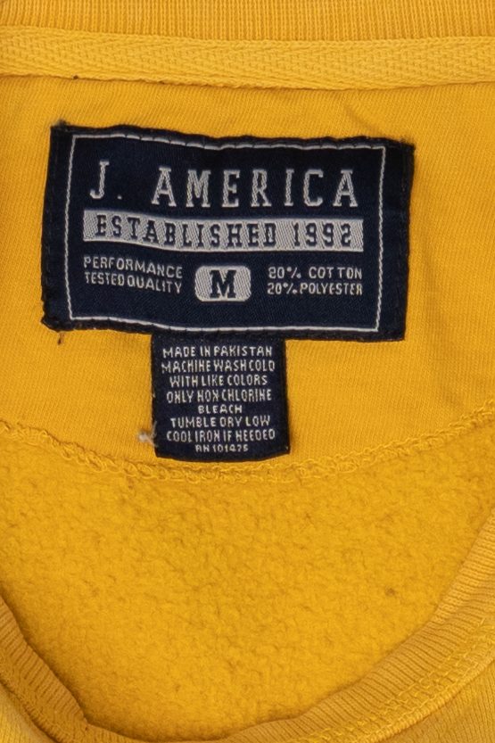Vintage Minnesota Golden Gophers Sweatshirt (2000s)