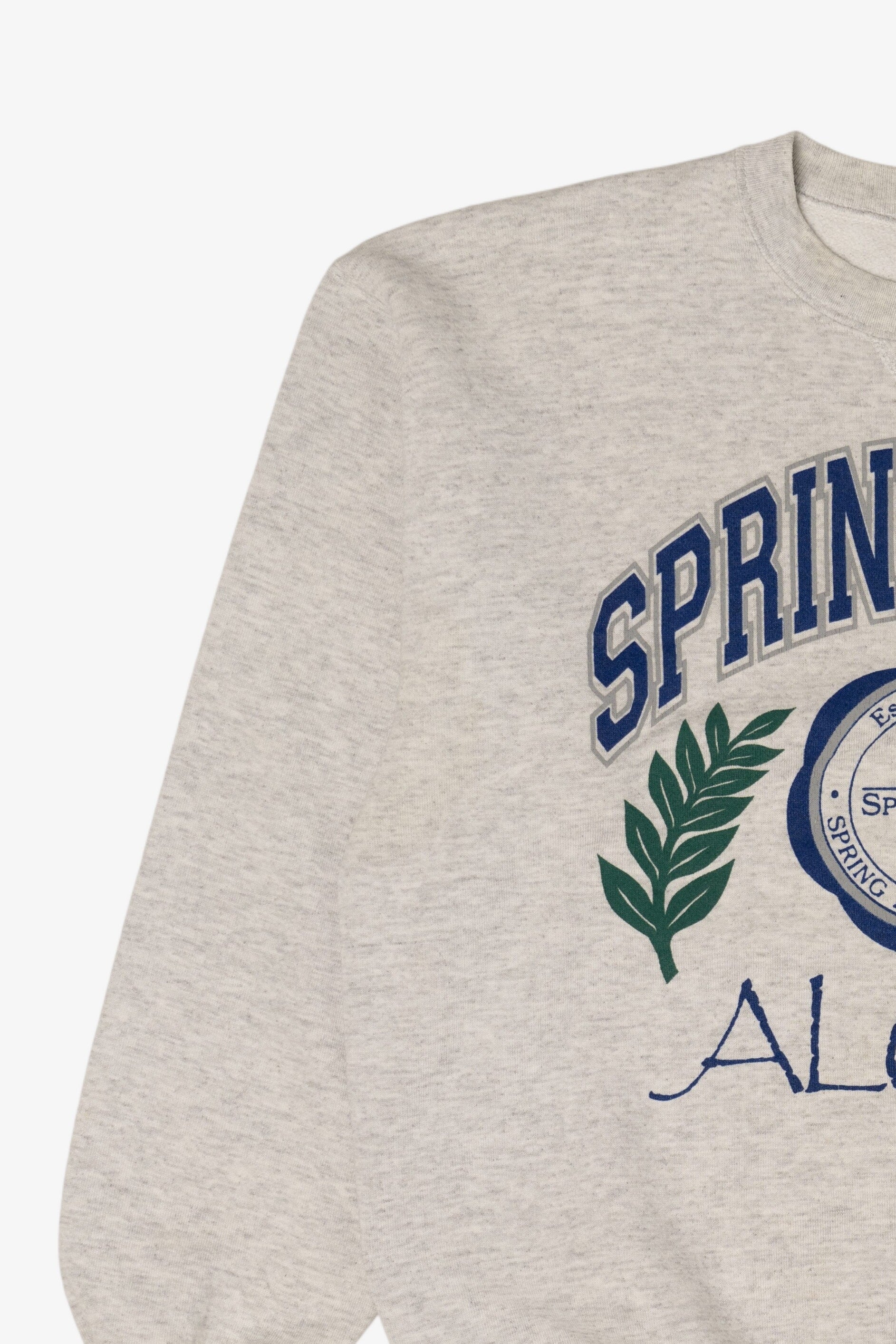 Vintage SpringArbor College Alumni Sweatshirt (1990s)