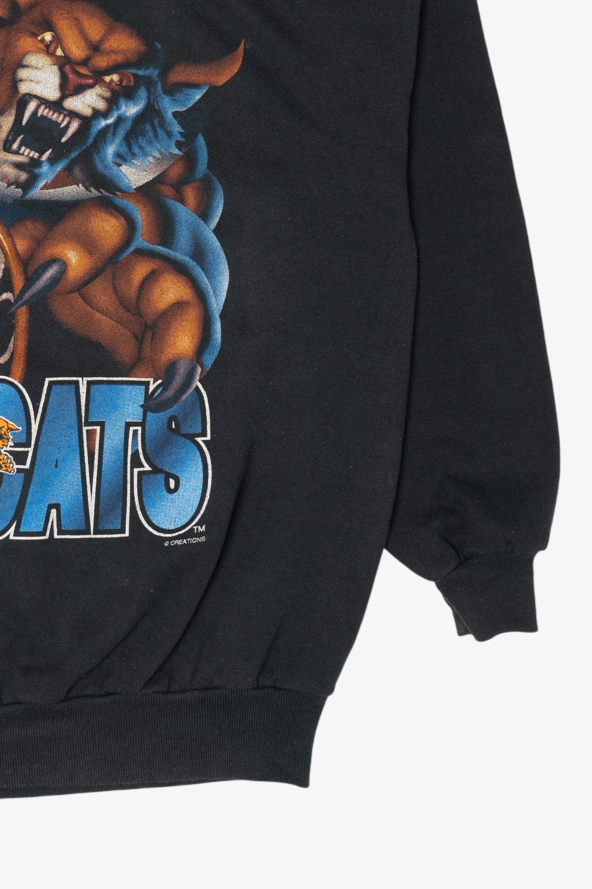 Vintage Kentucky Wildcats Sweatshirt (1990s)