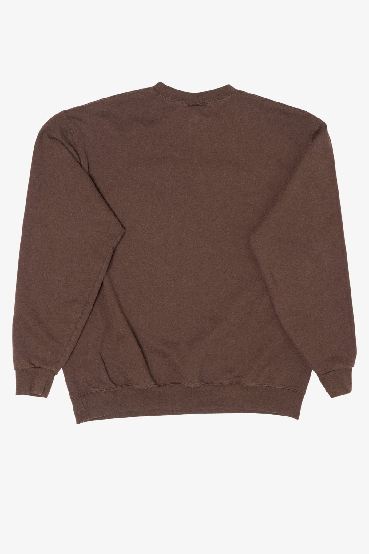 Vintage Brown "Santa Cruz" Sweatshirt (1990s)
