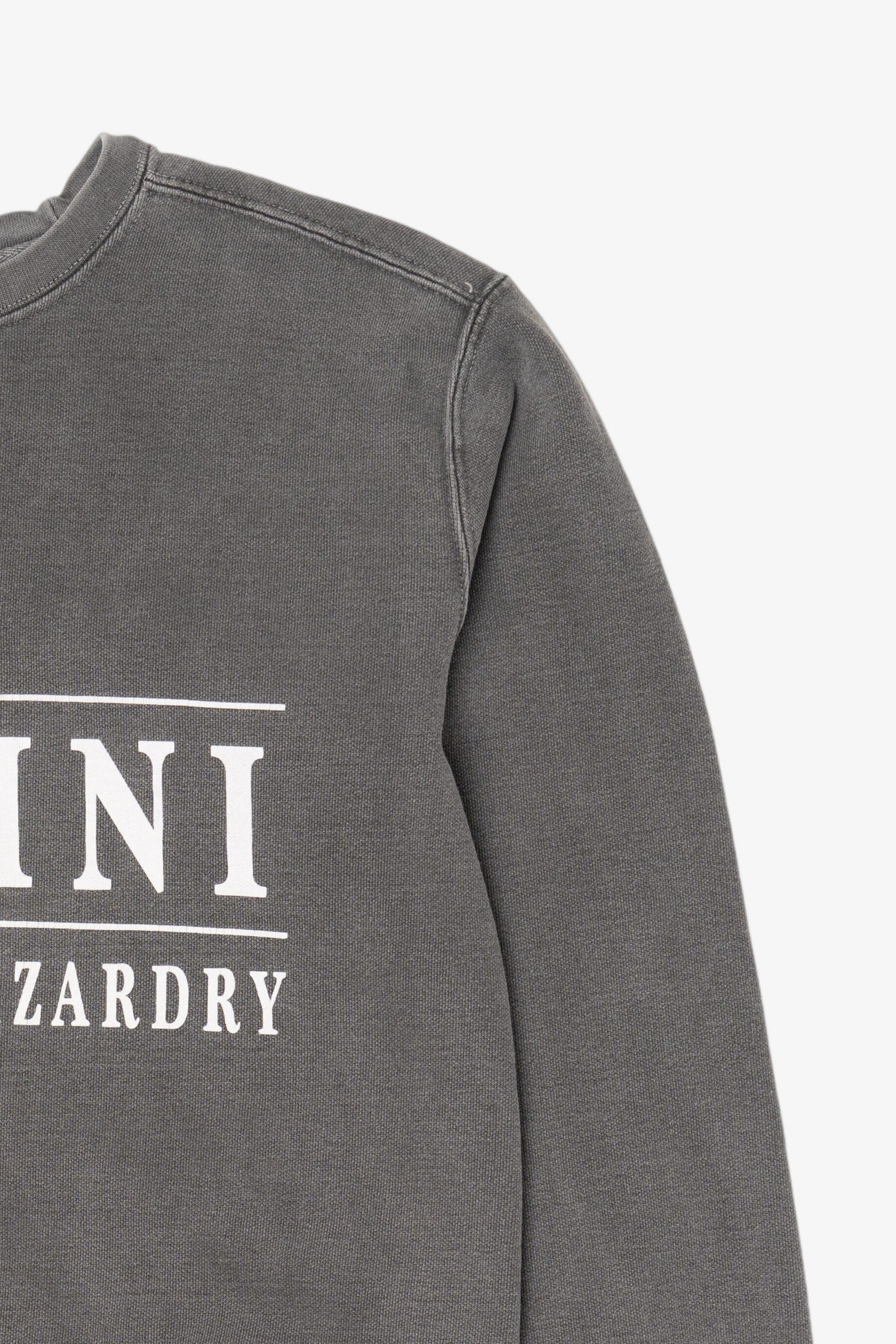 Gray School Of Wizardry Alumni Sweatshirt (2010s)