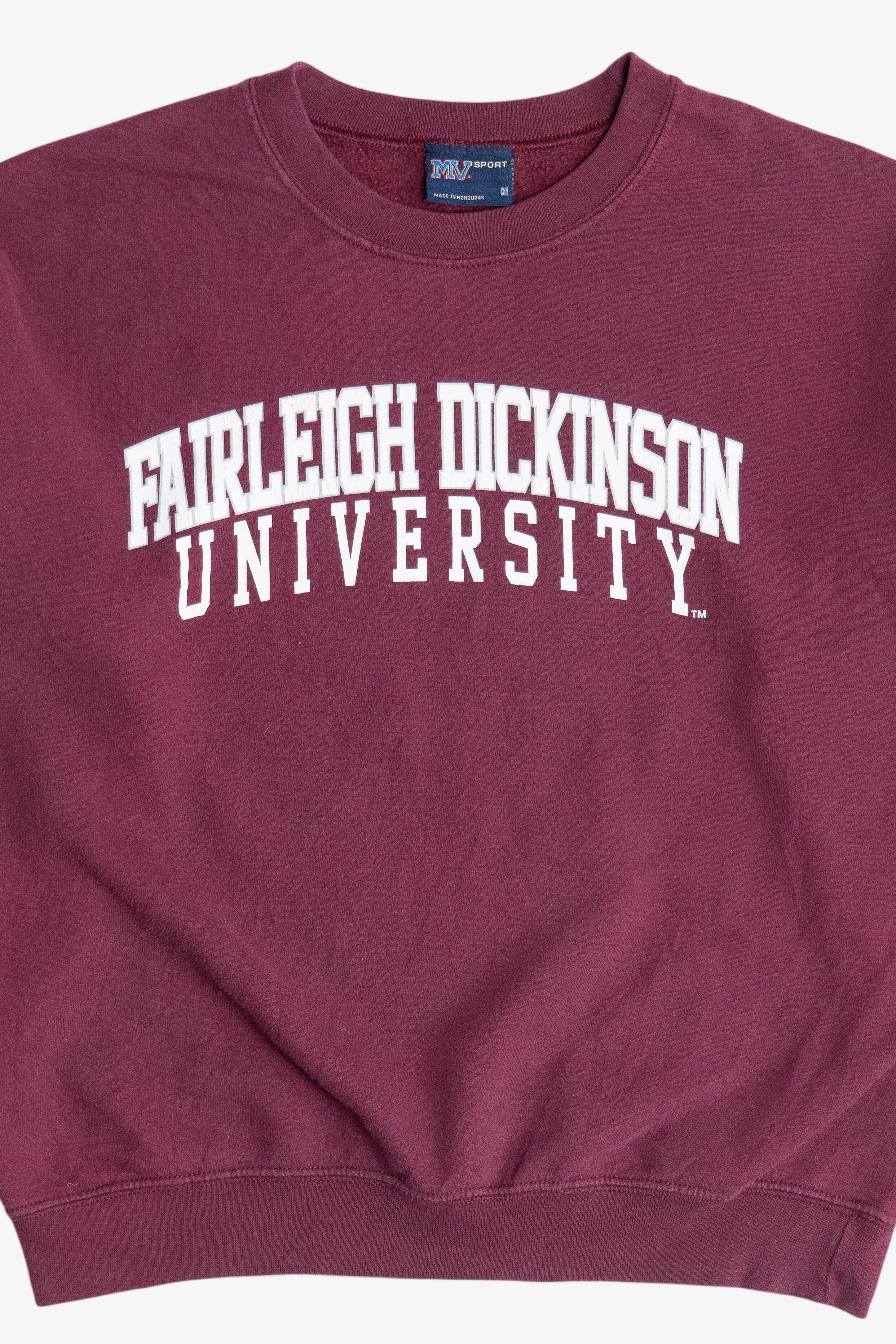 Vintage "Fairleigh Dickinson University" College Sweatshirt (1990s)