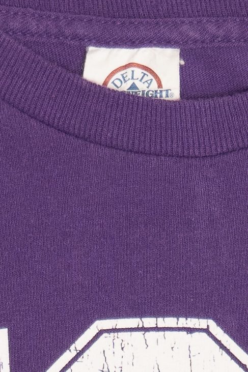 Vintage "TCU Horned Frogs" "XII Big 12 Conference" Texas Christian University College T-Shirt (1990s)