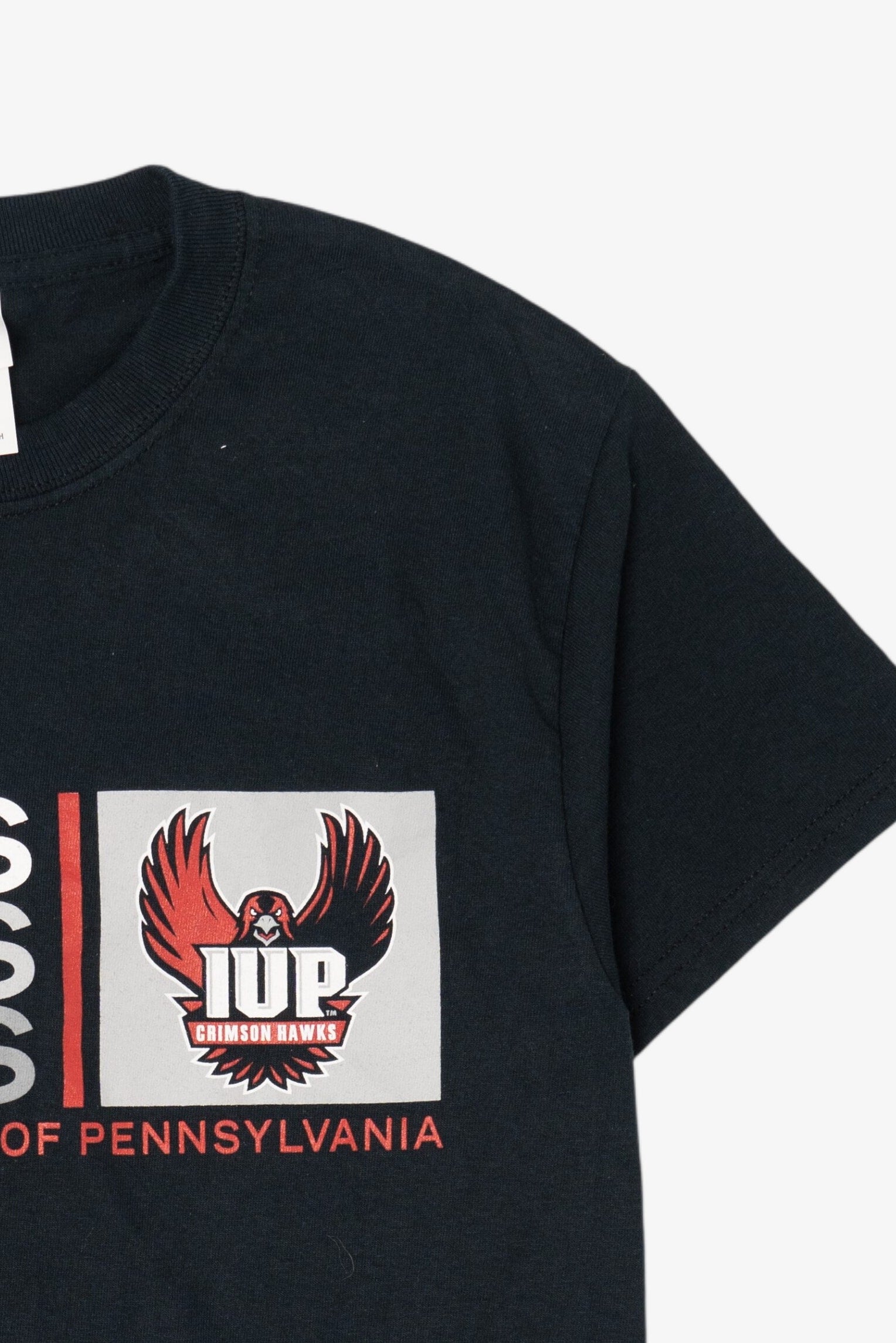 Indiana University Of Pennslyvania Hawks T-Shirt (2010s)
