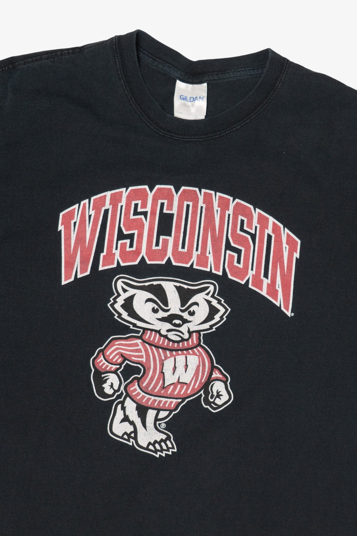 Vintage University Of Wisconsin Badgers T-Shirt (2000s)