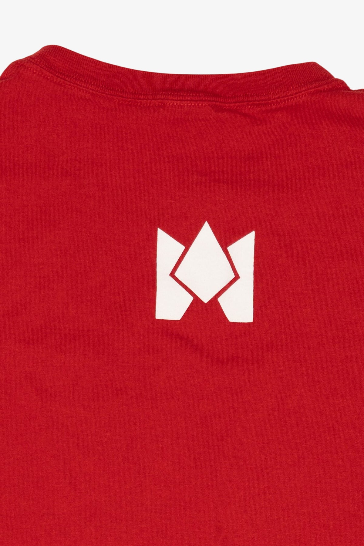 Vintage Florida Southern College Red Jerzees T-Shirt (1990s)