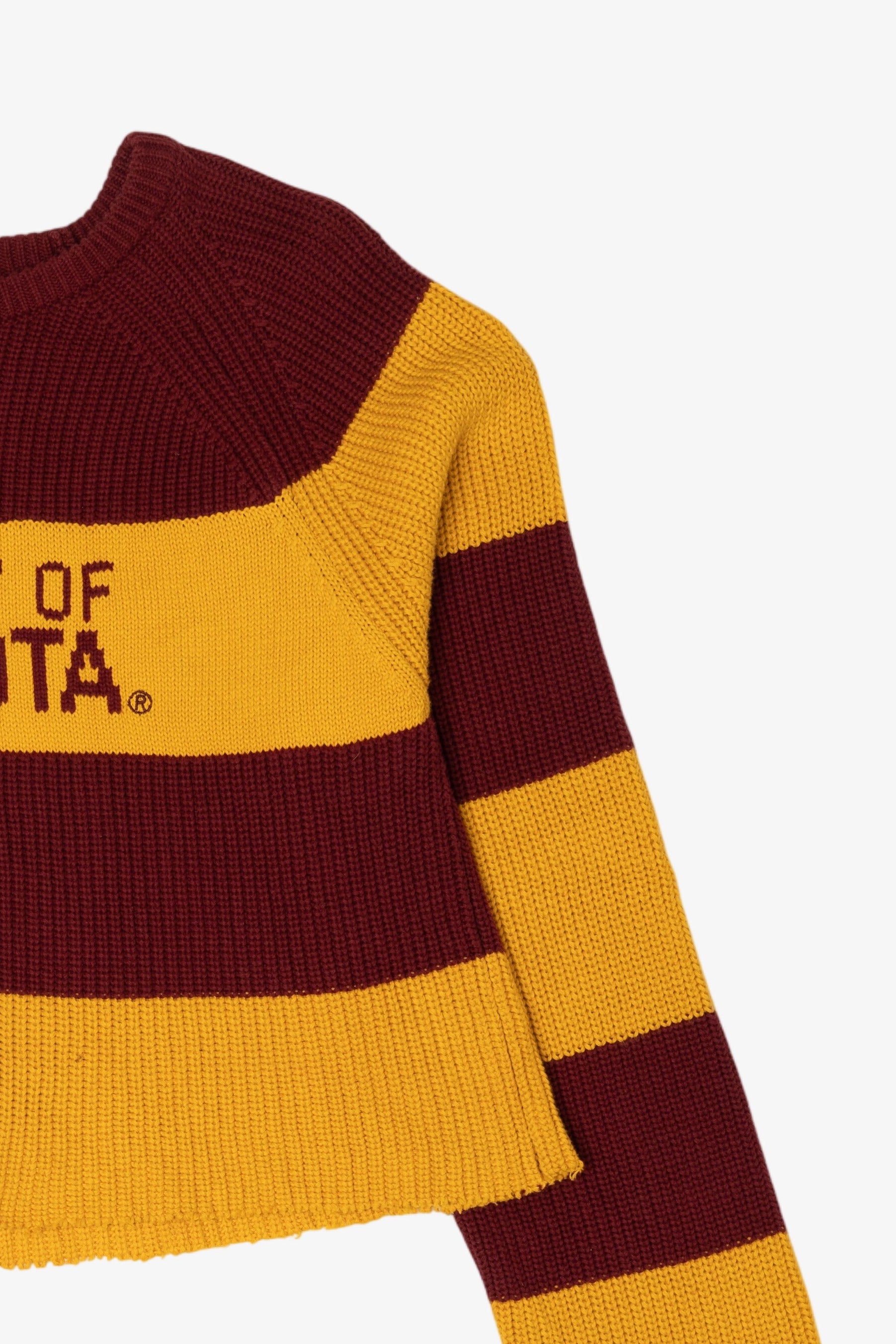 University Of Minnesota Striped Cutoff Sweater (2010s)