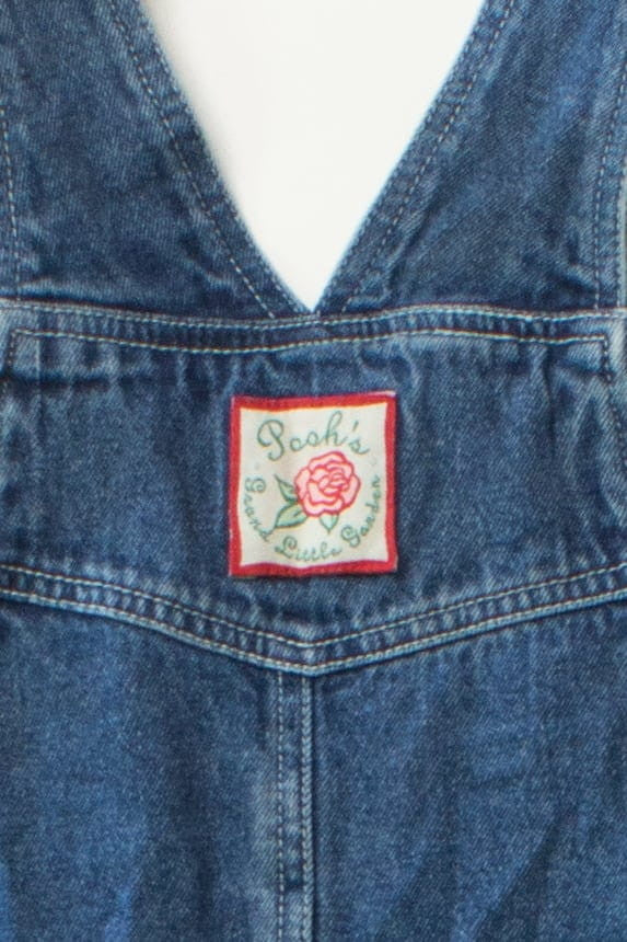 Vintage Pooh's Grand Little Garden Overall Shorts (1990s)