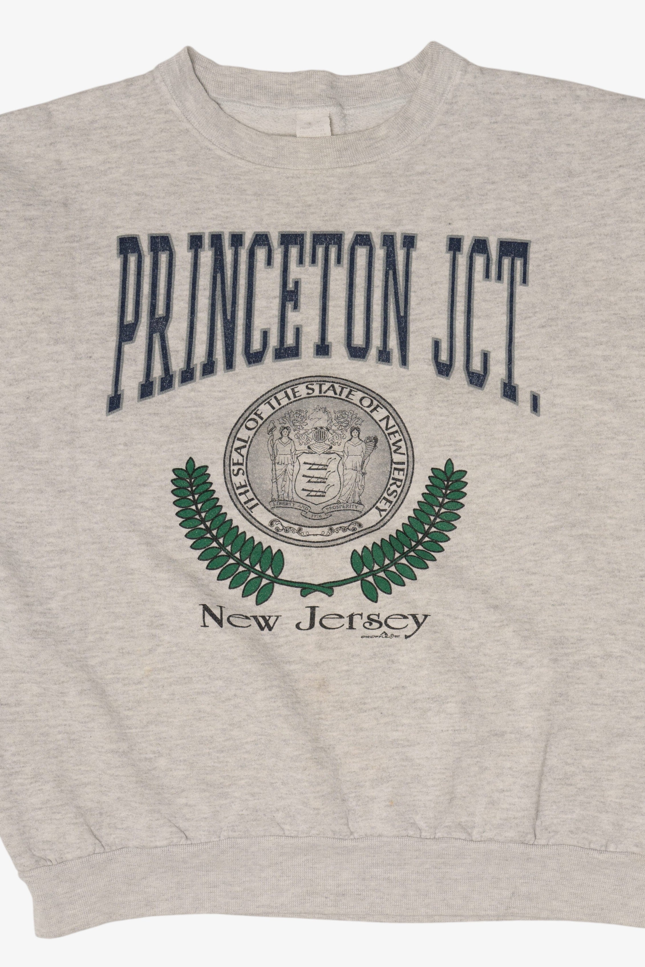 Vintage Gray Princeton Junction New Jersey Sweatshirt (1990s)