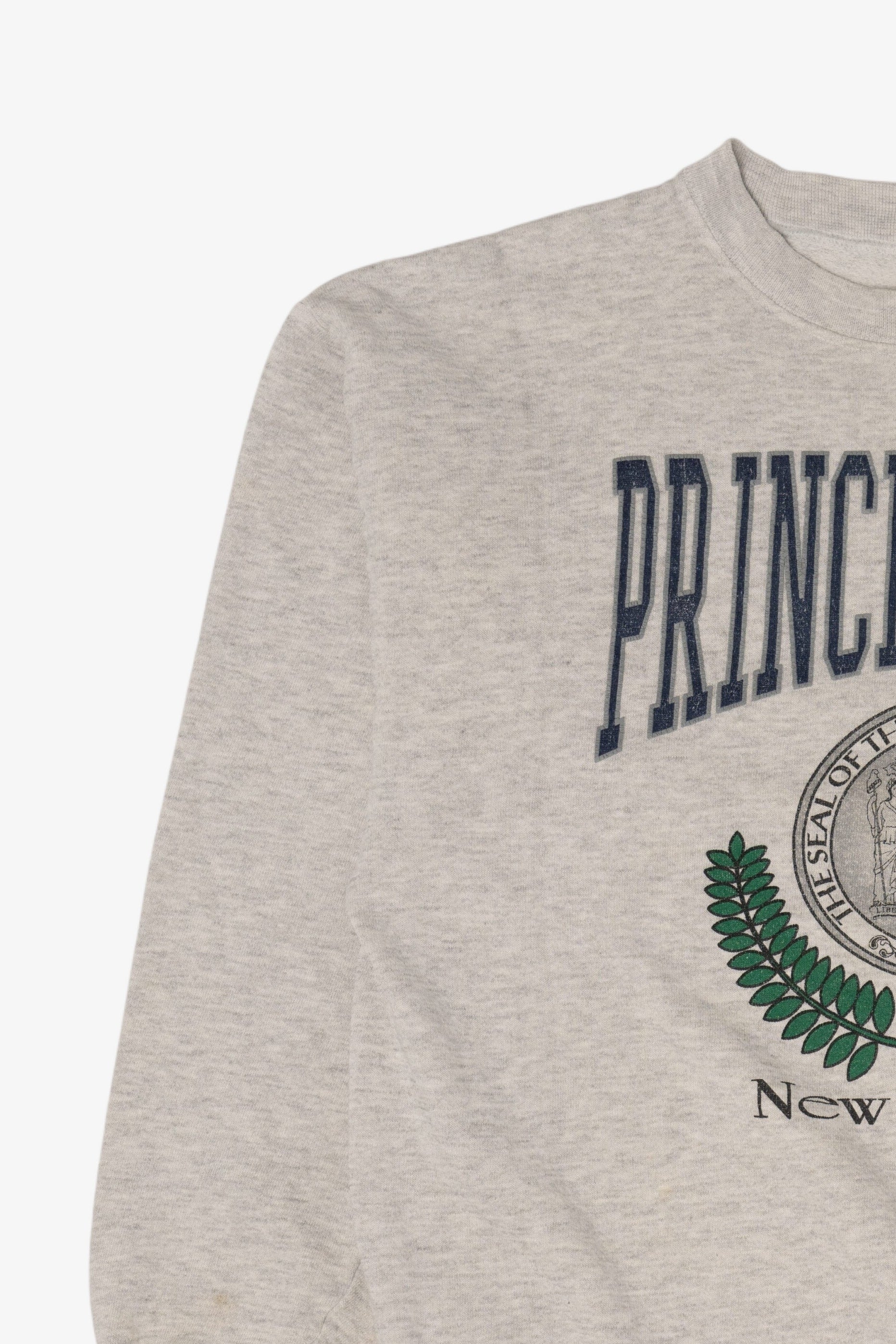 Vintage Gray Princeton Junction New Jersey Sweatshirt (1990s)