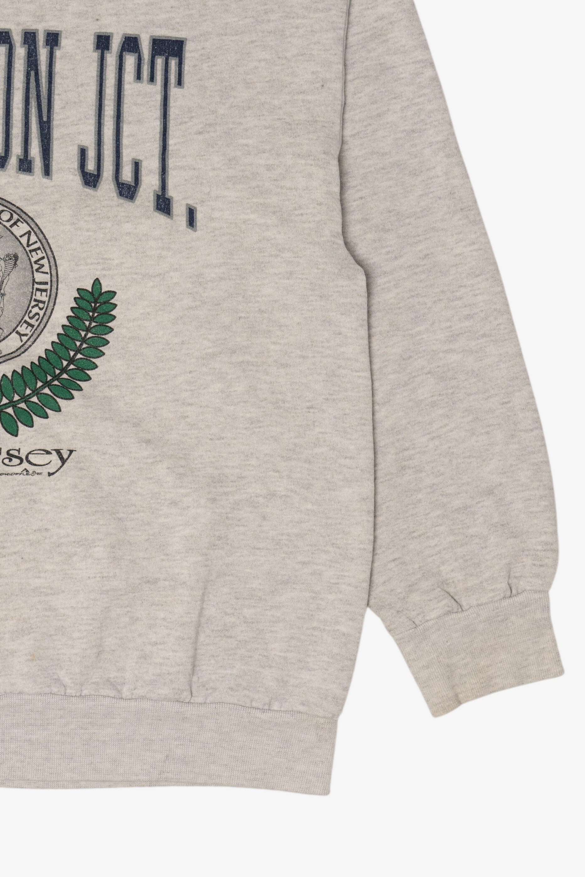 Vintage Gray Princeton Junction New Jersey Sweatshirt (1990s)