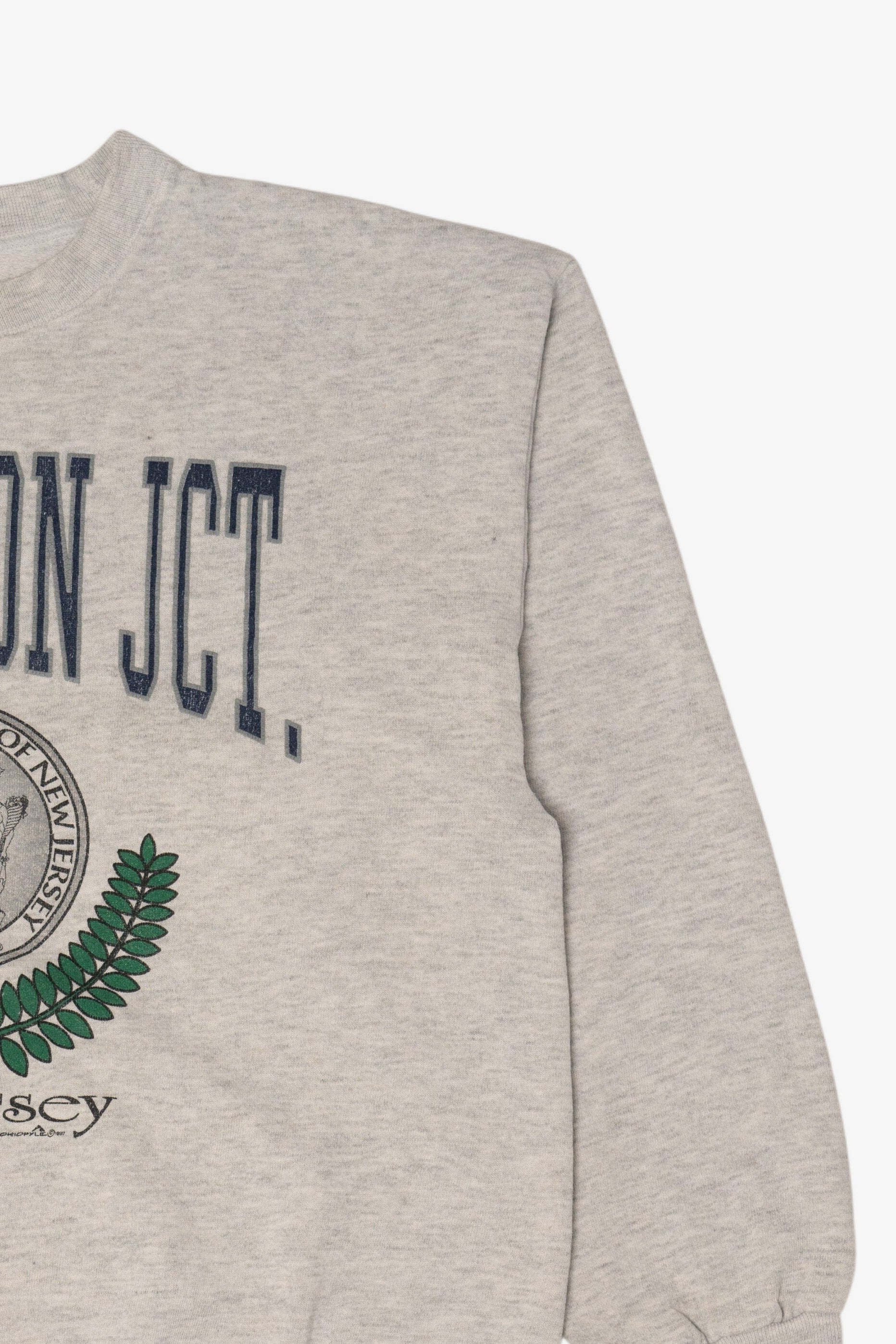 Vintage Gray Princeton Junction New Jersey Sweatshirt (1990s)