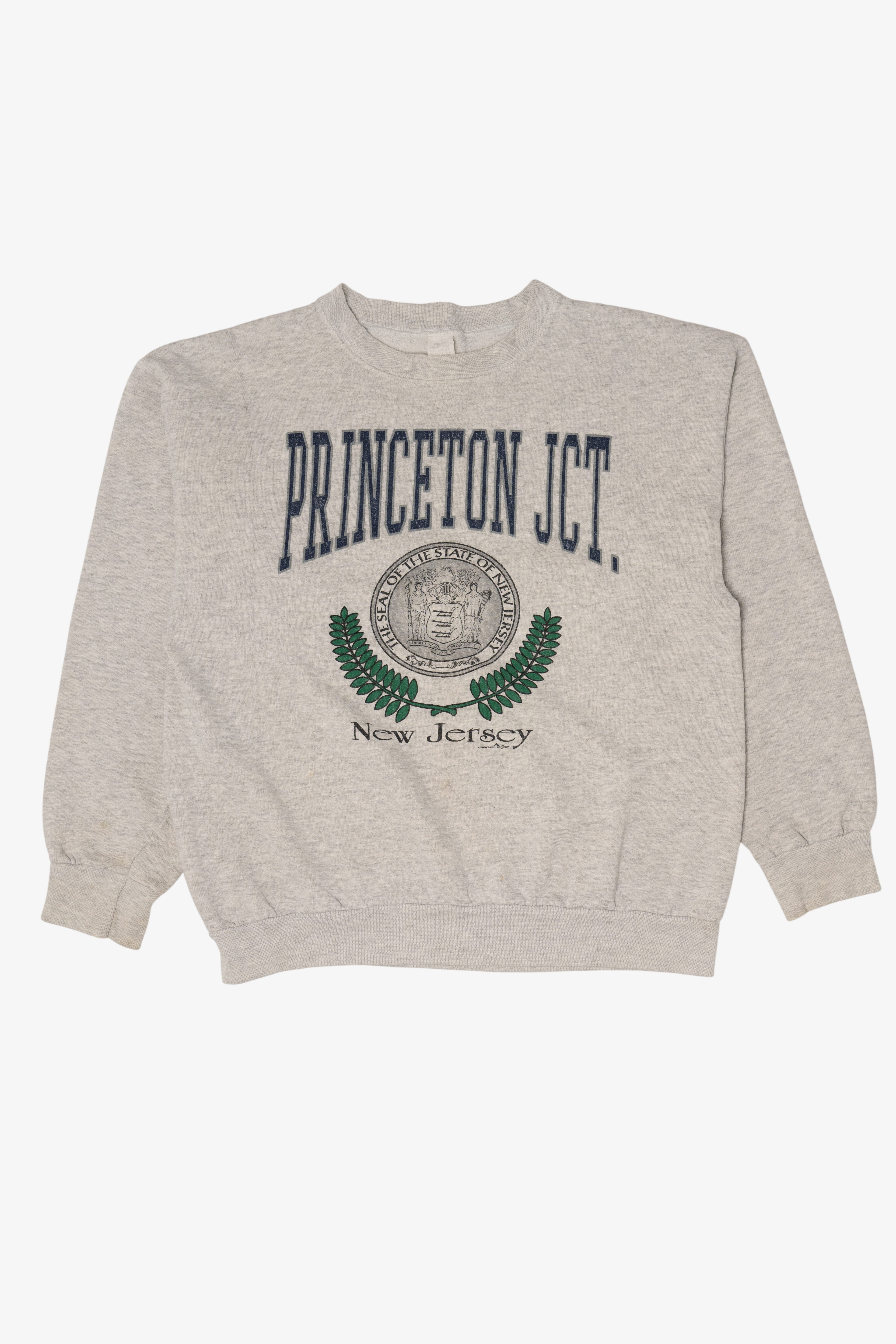 Vintage Gray Princeton Junction New Jersey Sweatshirt (1990s)