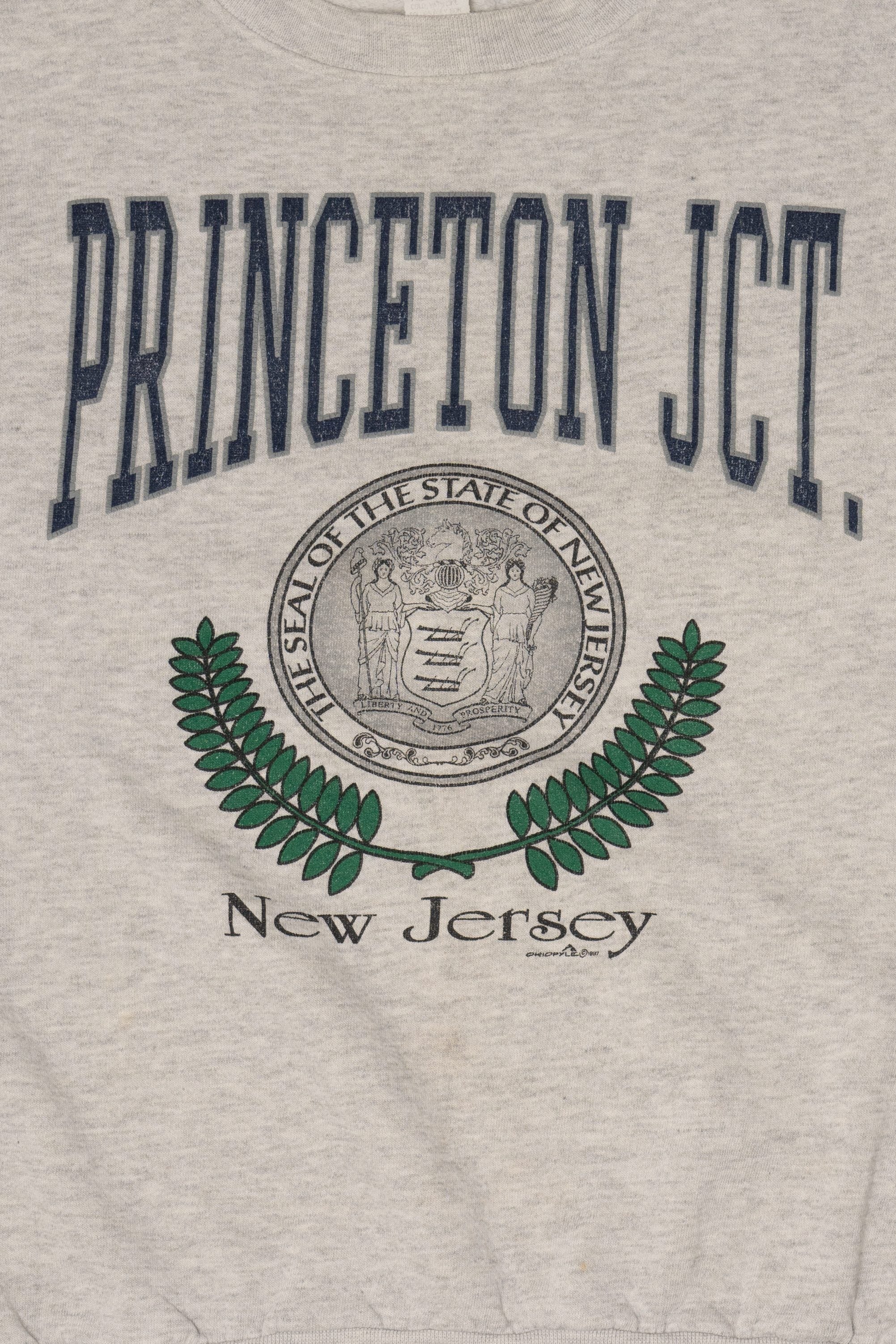 Vintage Gray Princeton Junction New Jersey Sweatshirt (1990s)