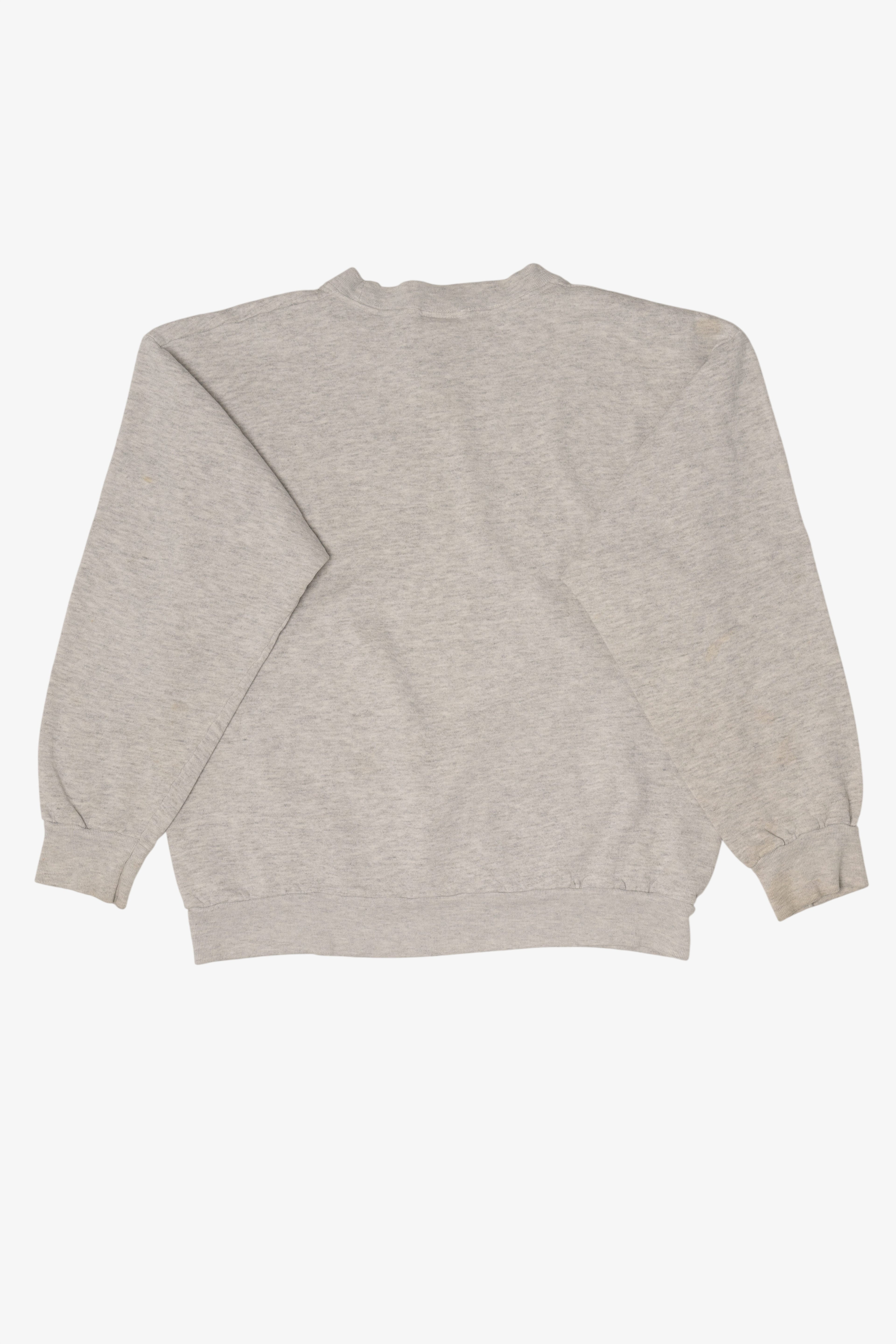 Vintage Gray Princeton Junction New Jersey Sweatshirt (1990s)