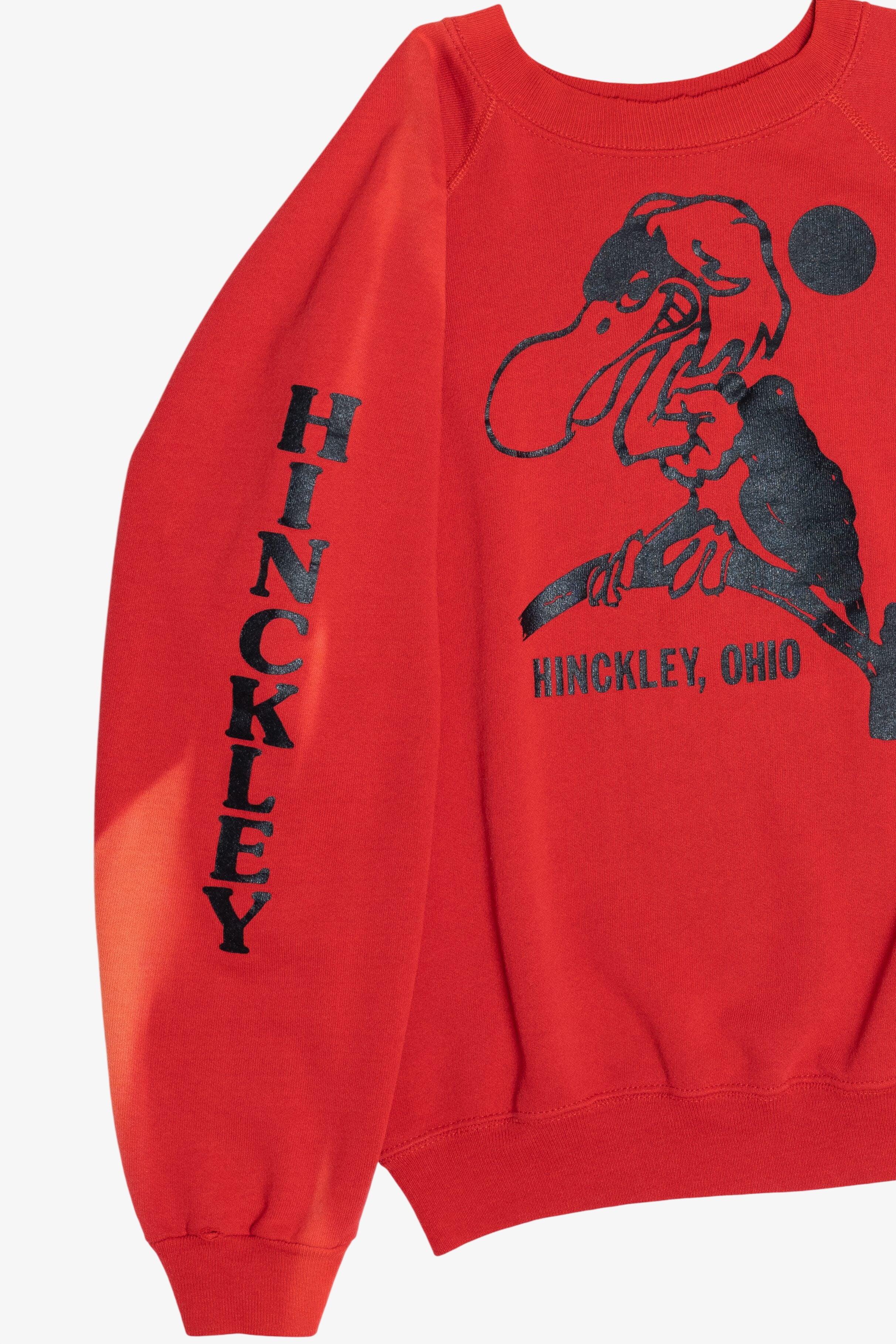 Vintage Sun Faded "Hinckley, Ohio" Souvenir Sweatshirt (1990s)