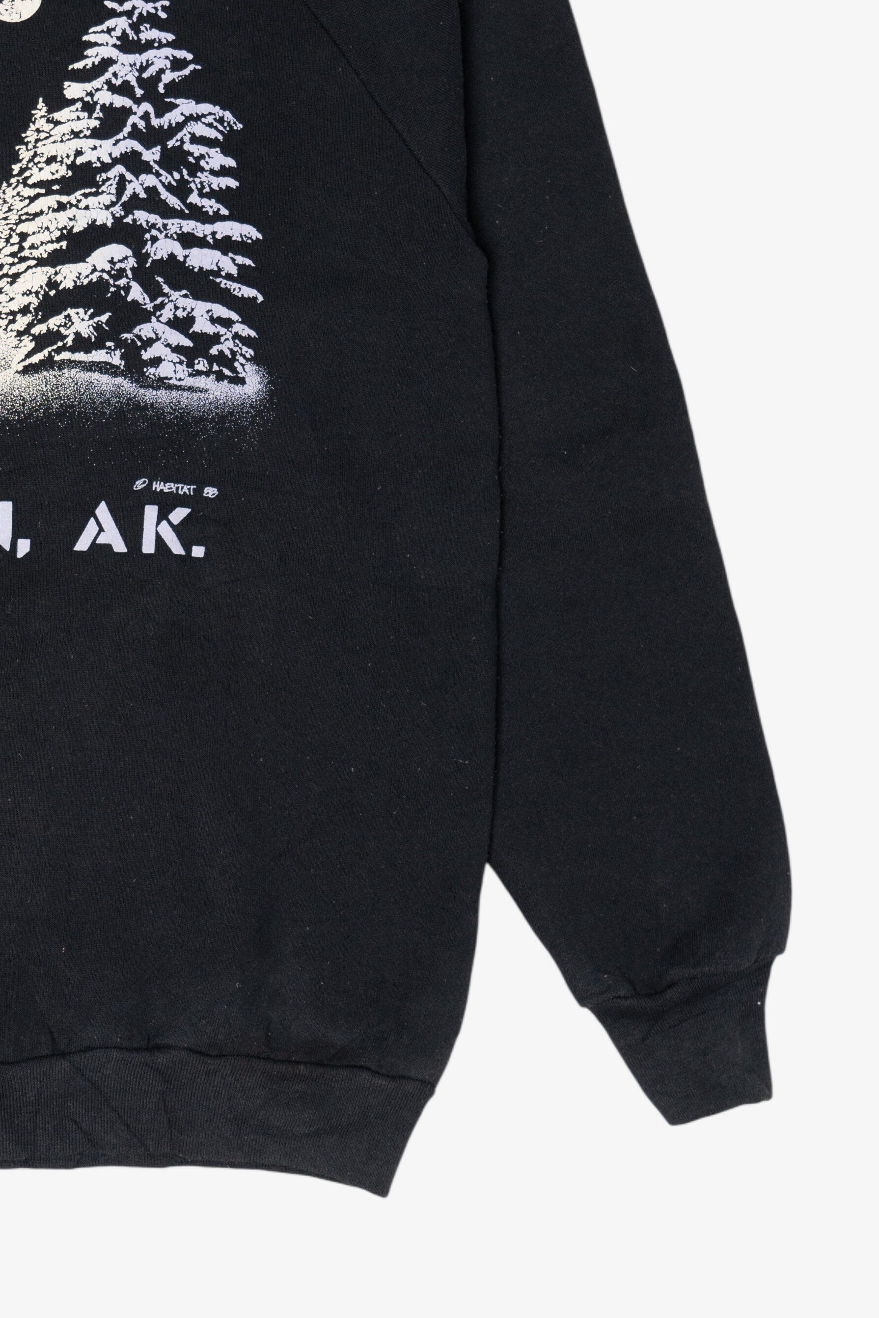 Vintage Ketchikan Alaska Raglan Sweatshirt (1980s)