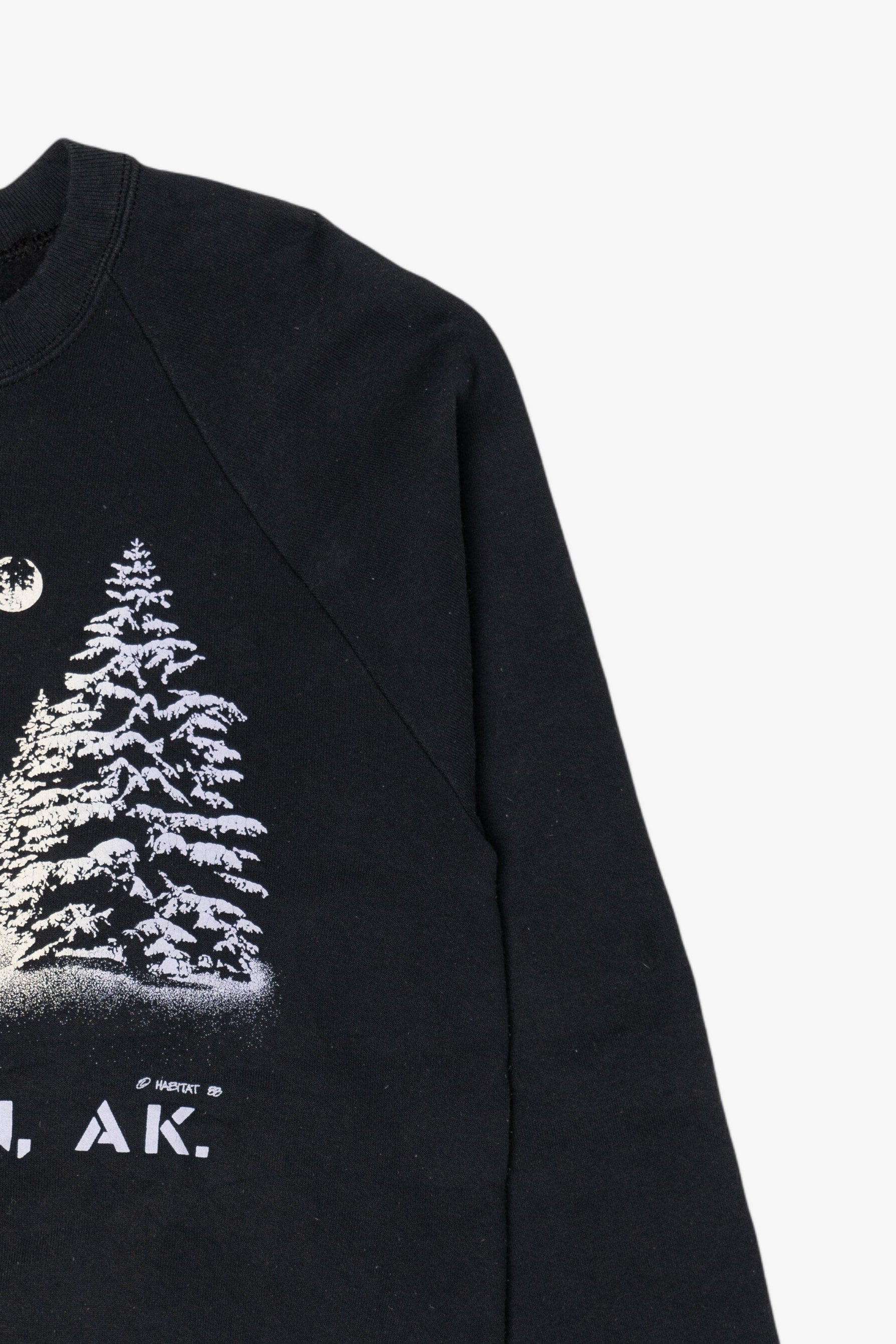 Vintage Ketchikan Alaska Raglan Sweatshirt (1980s)