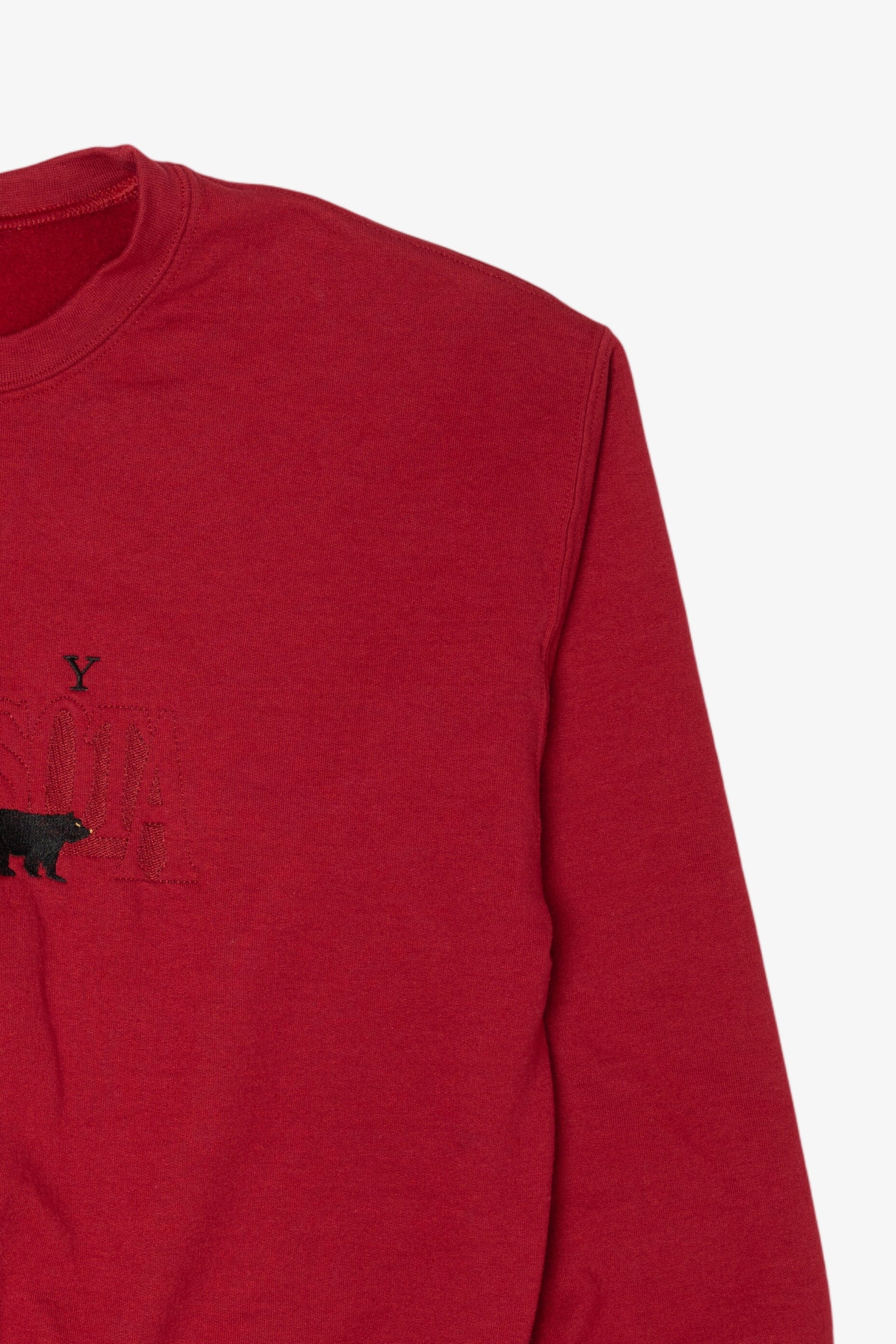 Red Ely Minnesota Embroidered Sweatshirt (2020s)