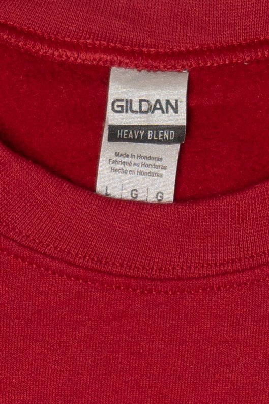 Red Ely Minnesota Embroidered Sweatshirt (2020s)