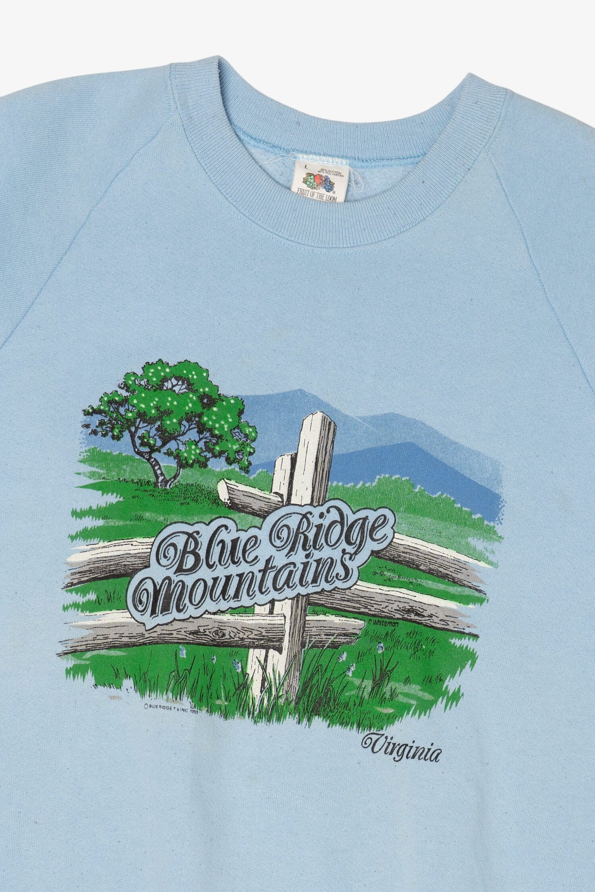 Vintage Blue Ridge Mountains Virginia Raglan Sweatshirt (1980s)