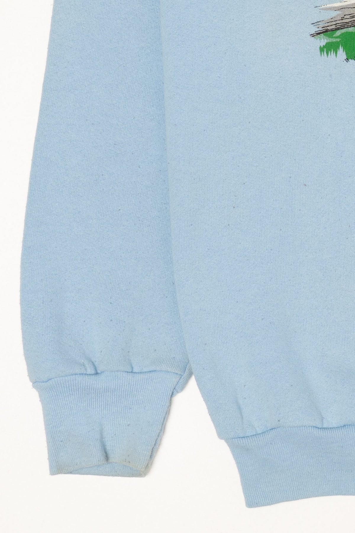 Vintage Blue Ridge Mountains Virginia Raglan Sweatshirt (1980s)