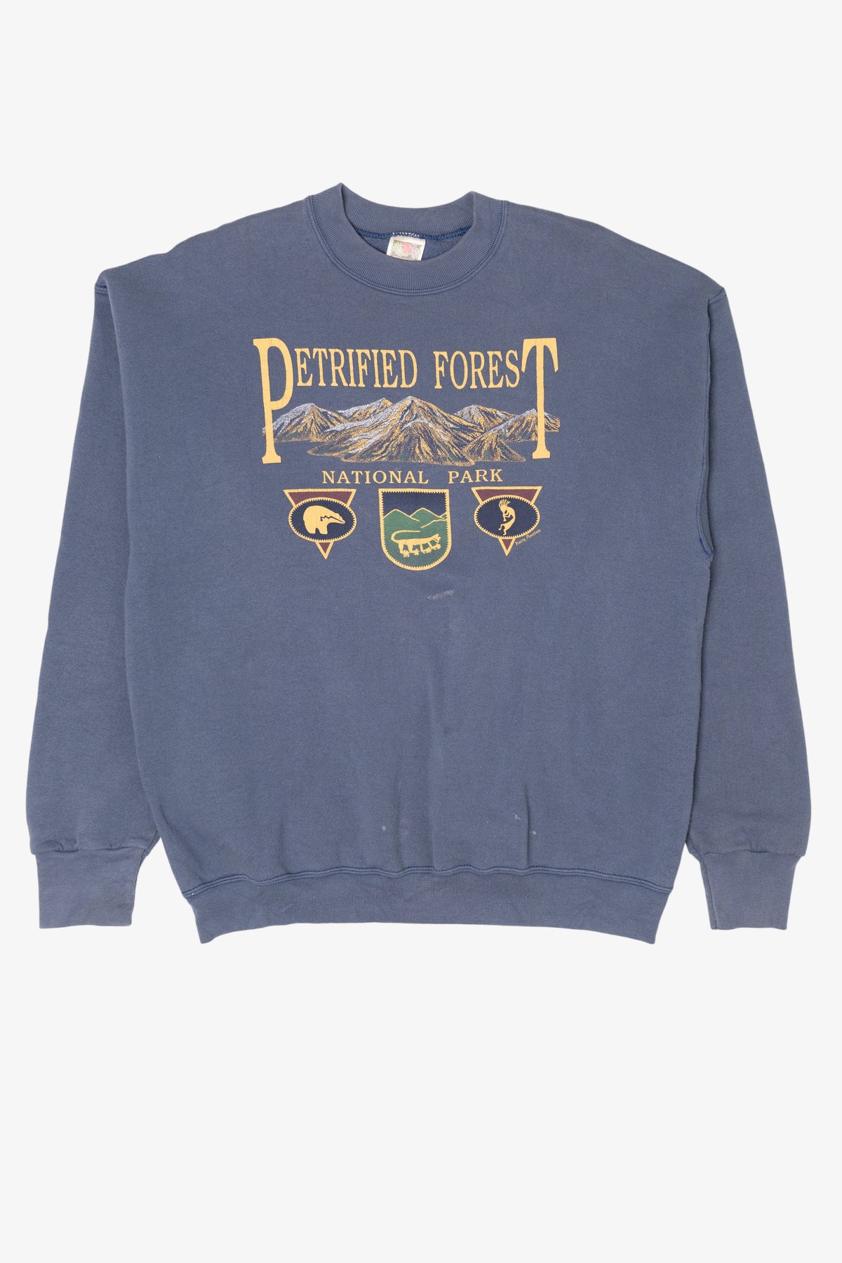 Vintage Blue Petrified Forest National Park Sweatshirt (1990s)