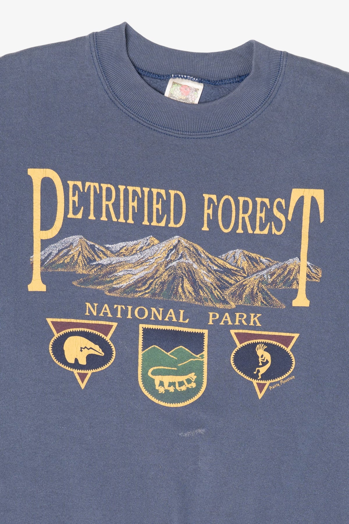Vintage Blue Petrified Forest National Park Sweatshirt (1990s)