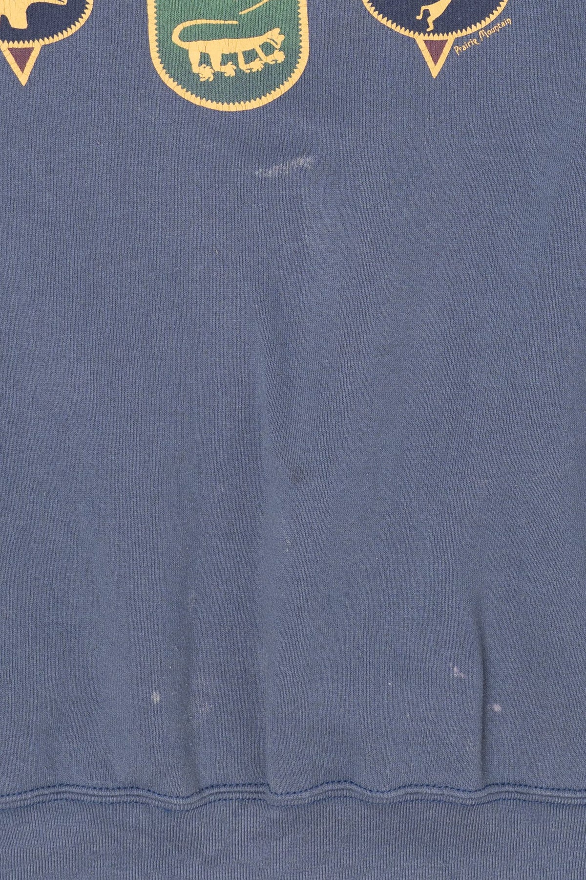 Vintage Blue Petrified Forest National Park Sweatshirt (1990s)