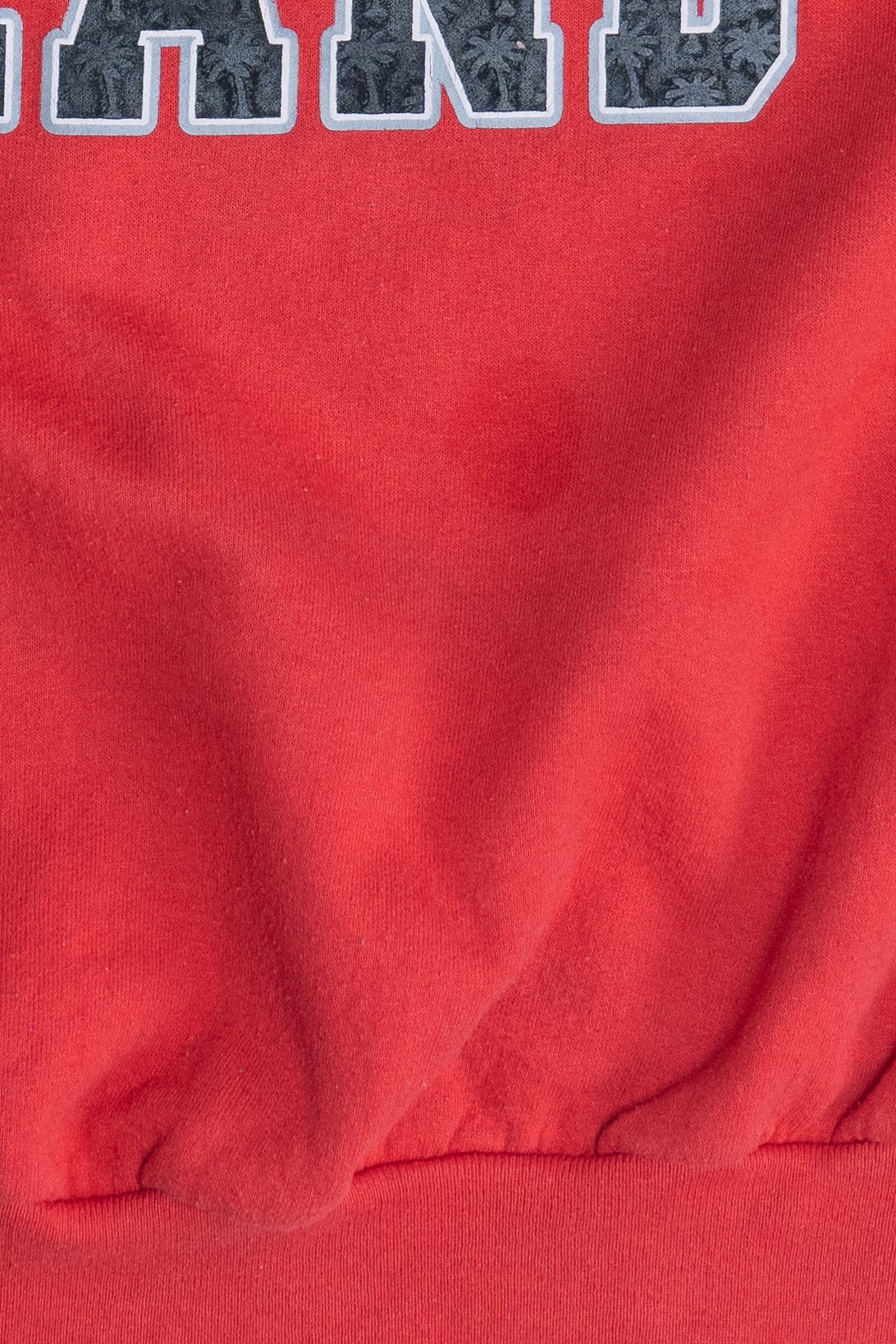 Vintage "S. Padre Island Texas" Palm Tree Detail Sweatshirt (2000s)